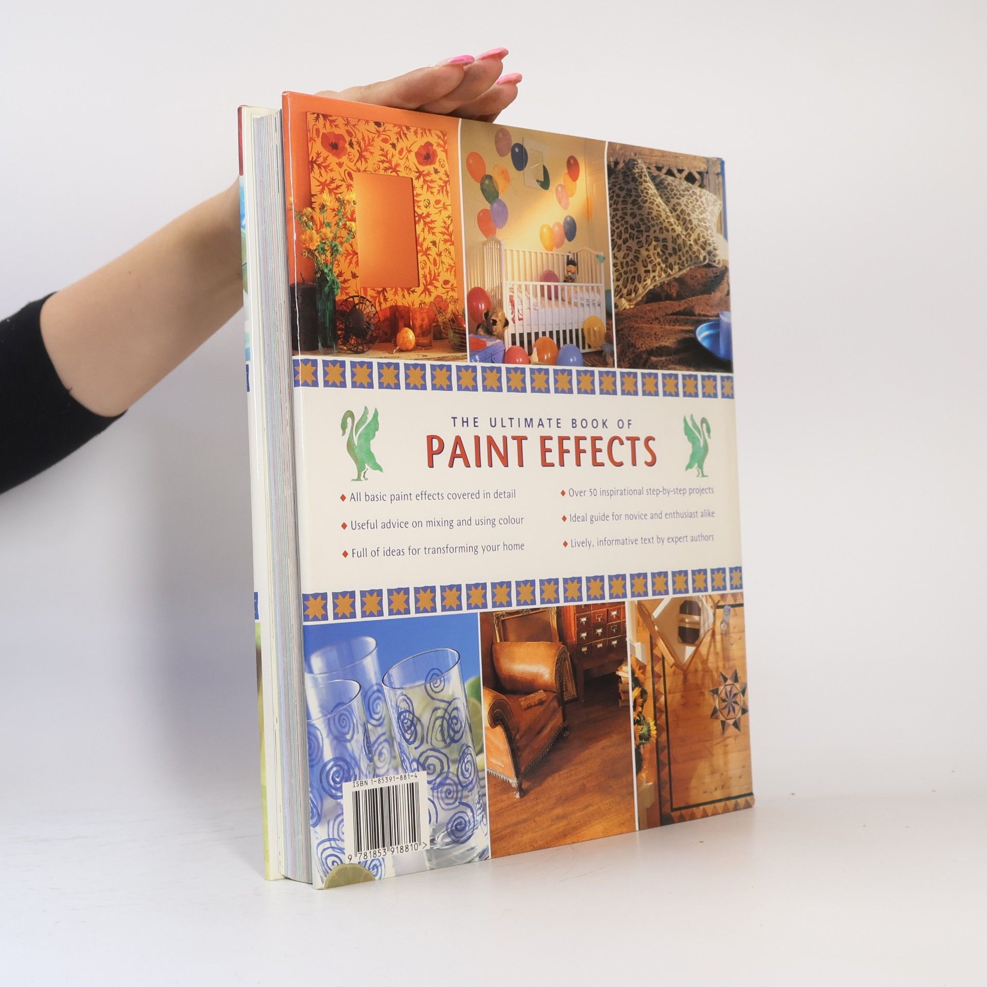Julie Collins Ultimate Book of Paint-Effects