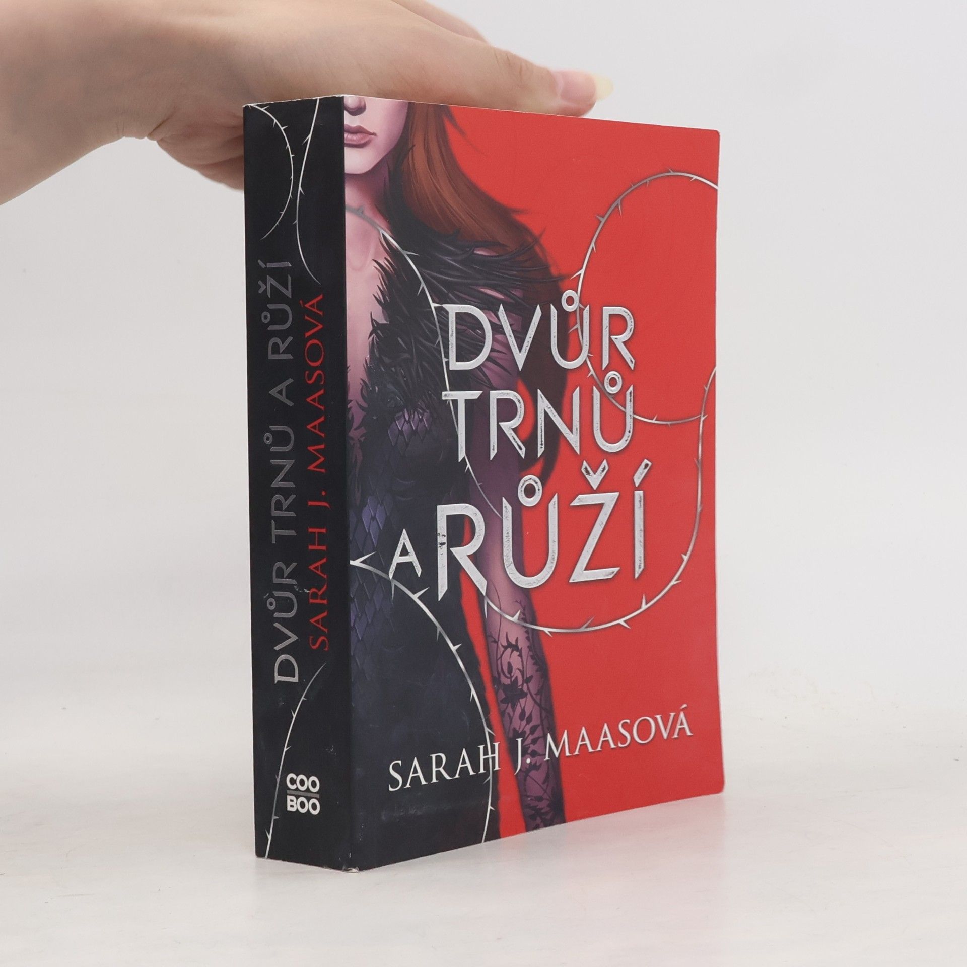 Sarah J. Maas Dvůr trnů a růží