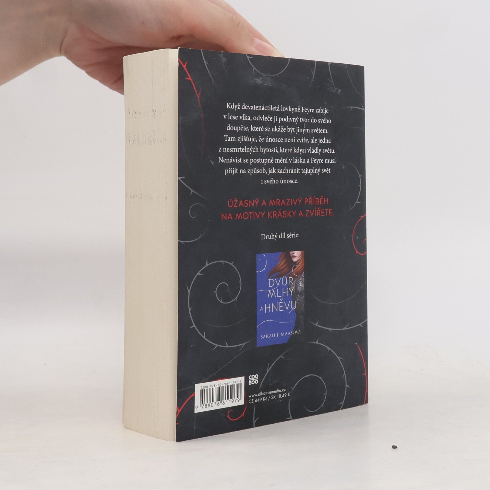 Sarah J. Maas Dvůr trnů a růží