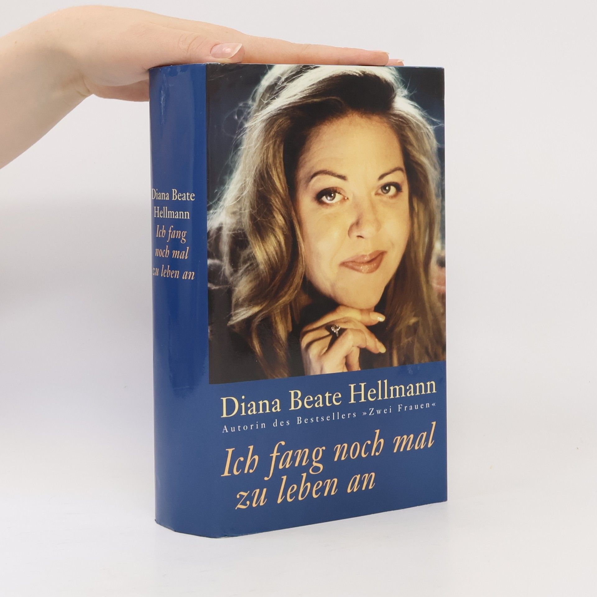 Diana Beate Hellmann Ich fang noch mal zu leben an