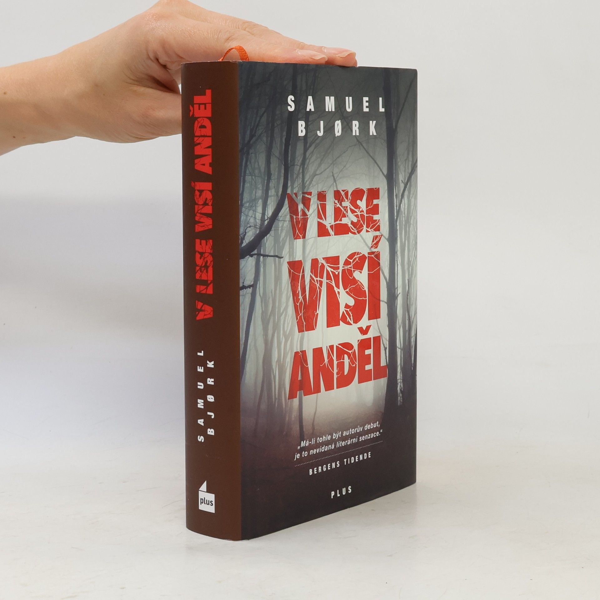 Samuel Bjork V lese visí anděl