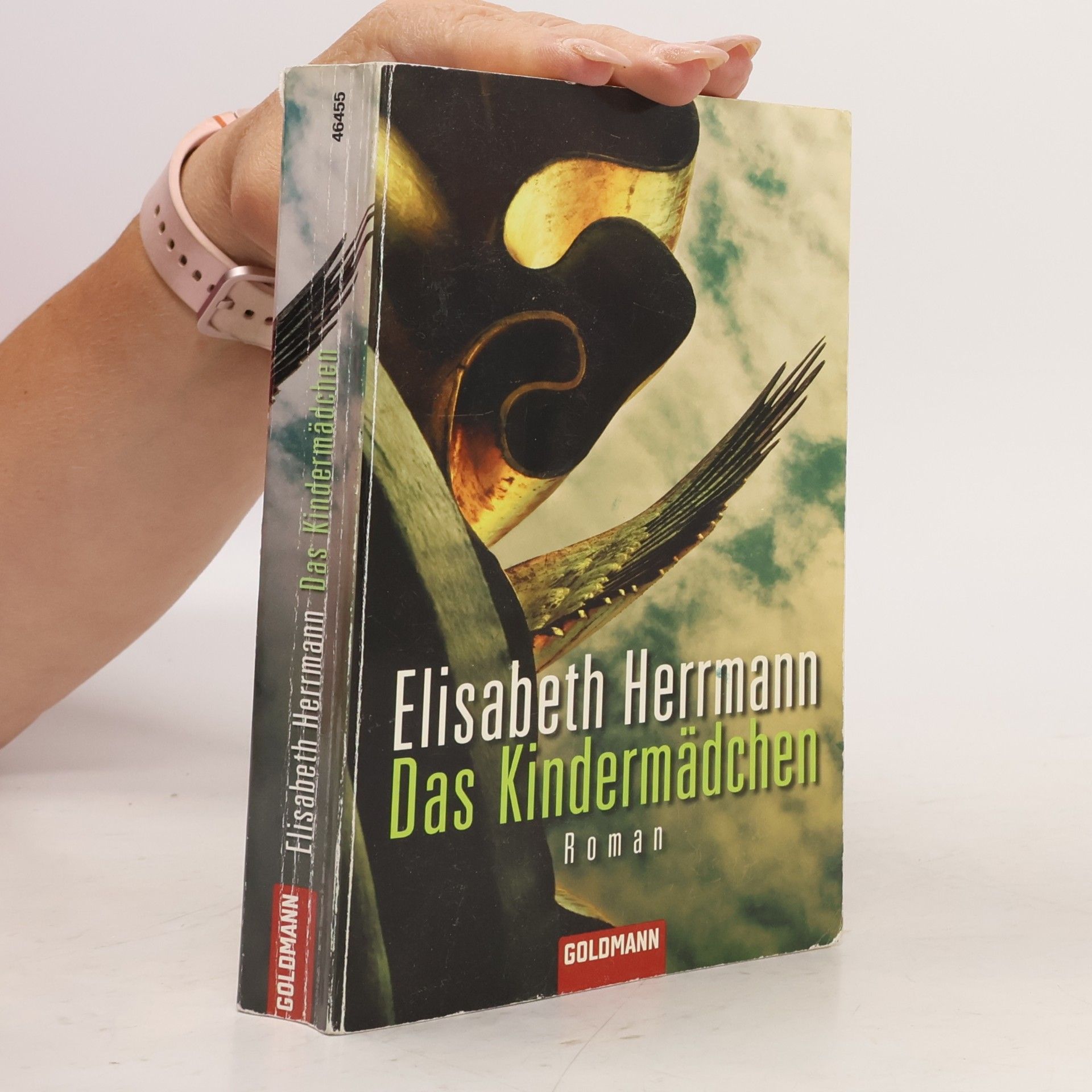Elisabeth Hermann Das Kindermädchen