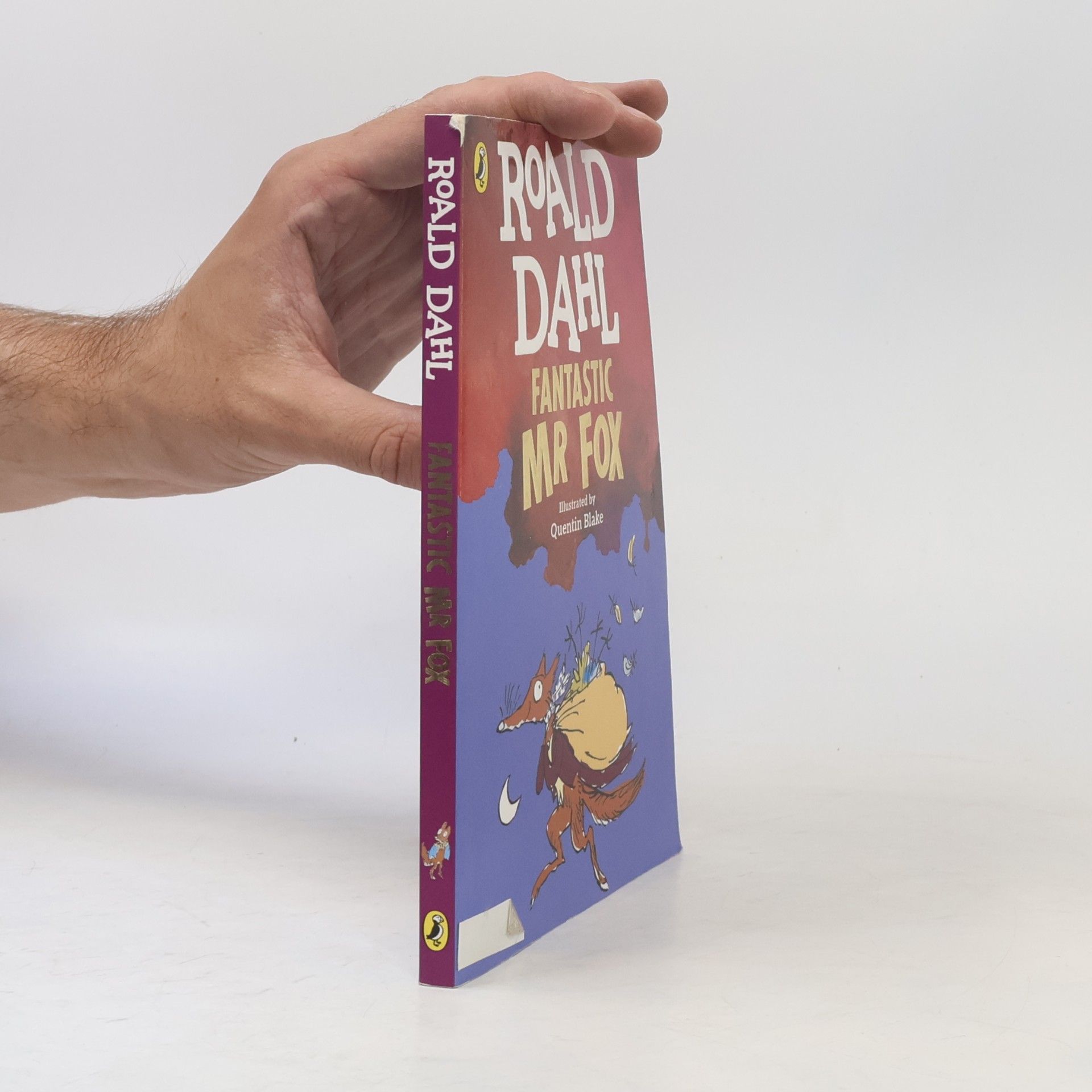 Roald Dahl Fantastic Mr Fox