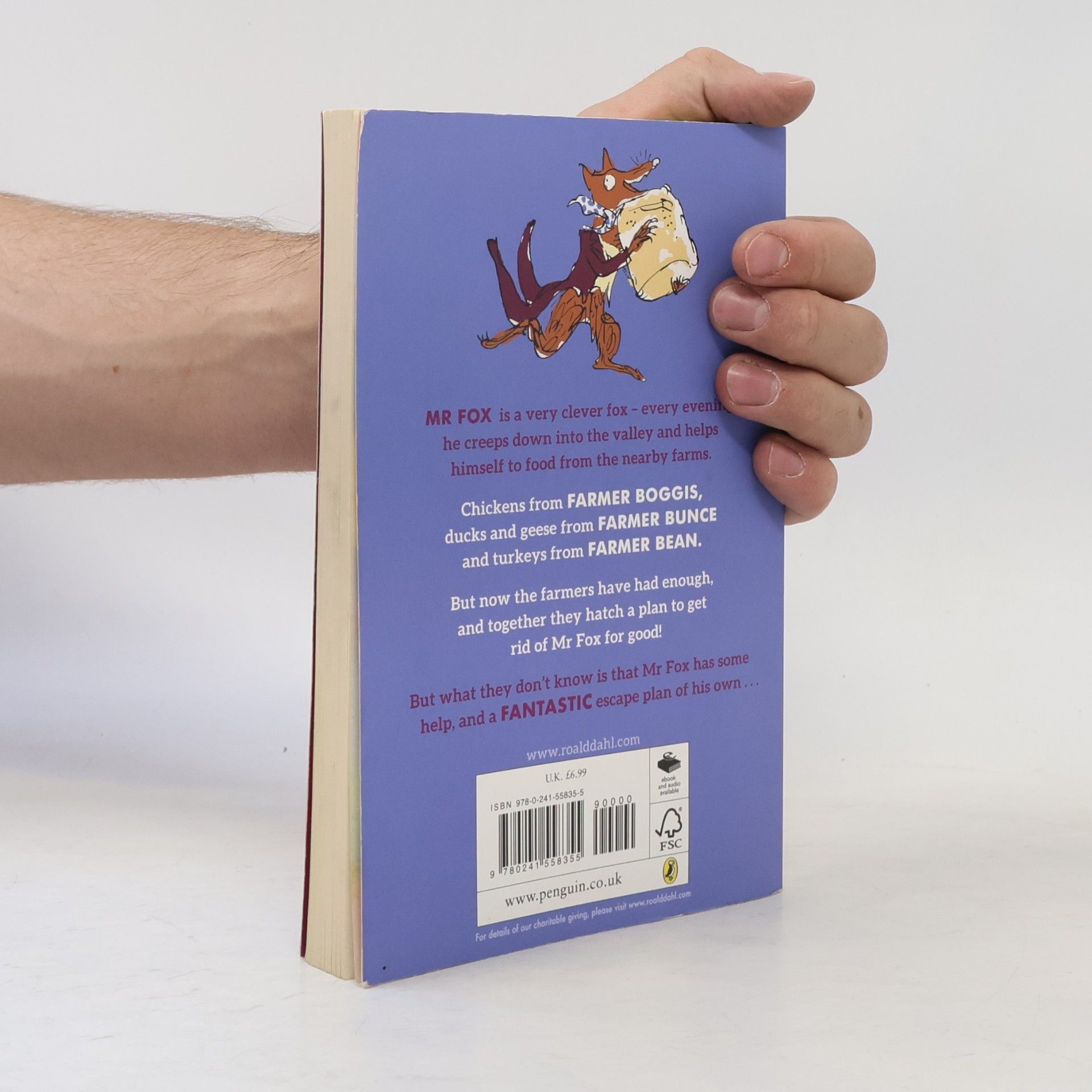 Roald Dahl Fantastic Mr Fox