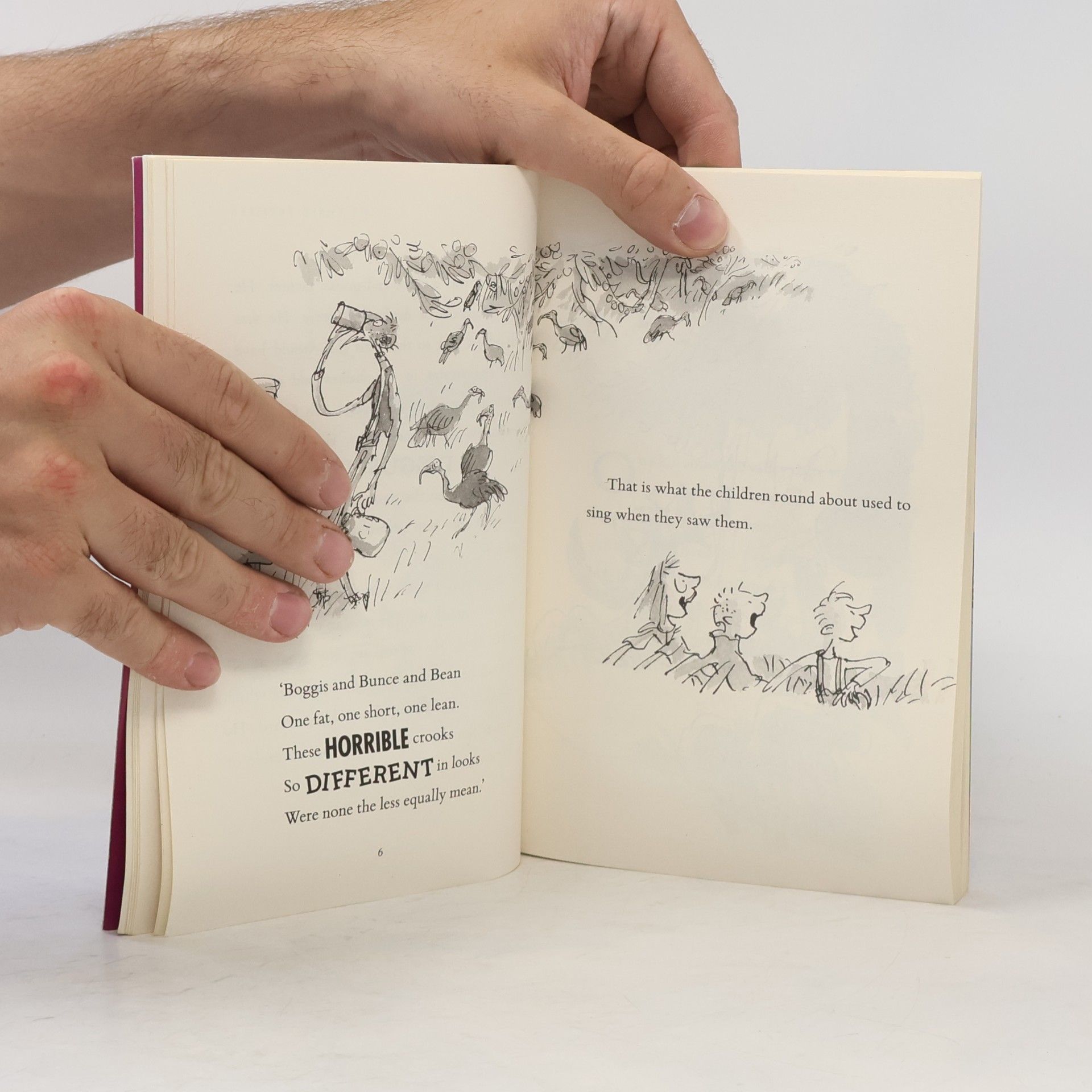 Roald Dahl Fantastic Mr Fox