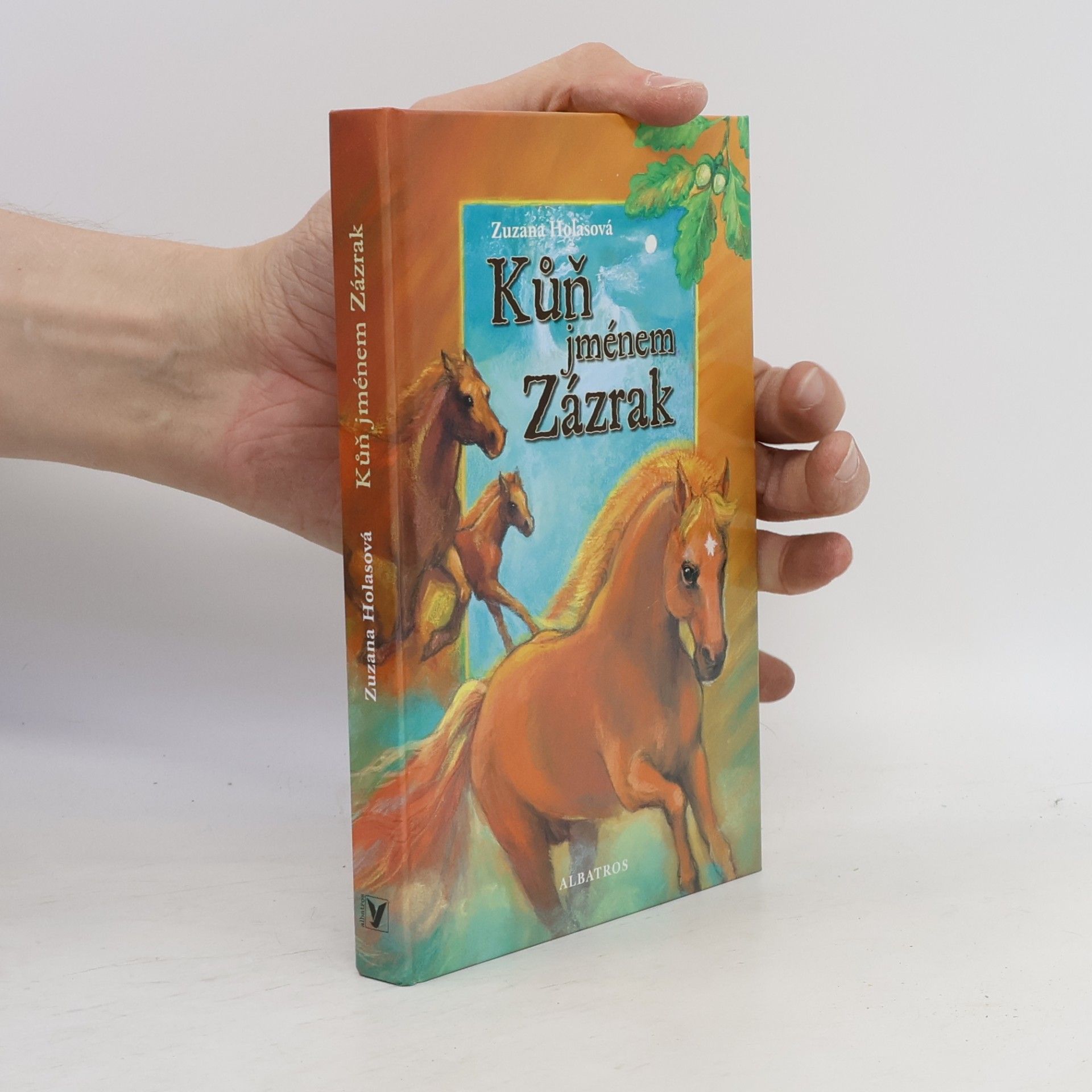 Zuzana Holasová Kůň jménem Zázrak