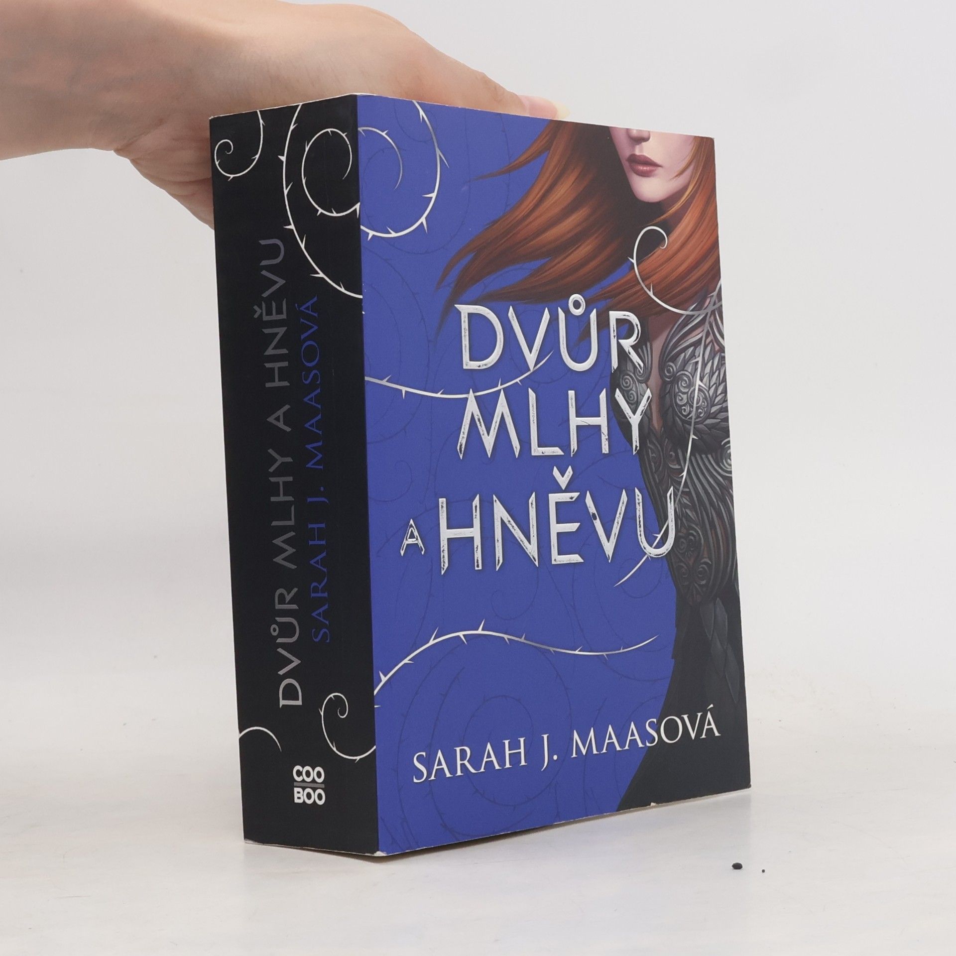 Sarah J. Maas Dvůr mlhy a hněvu