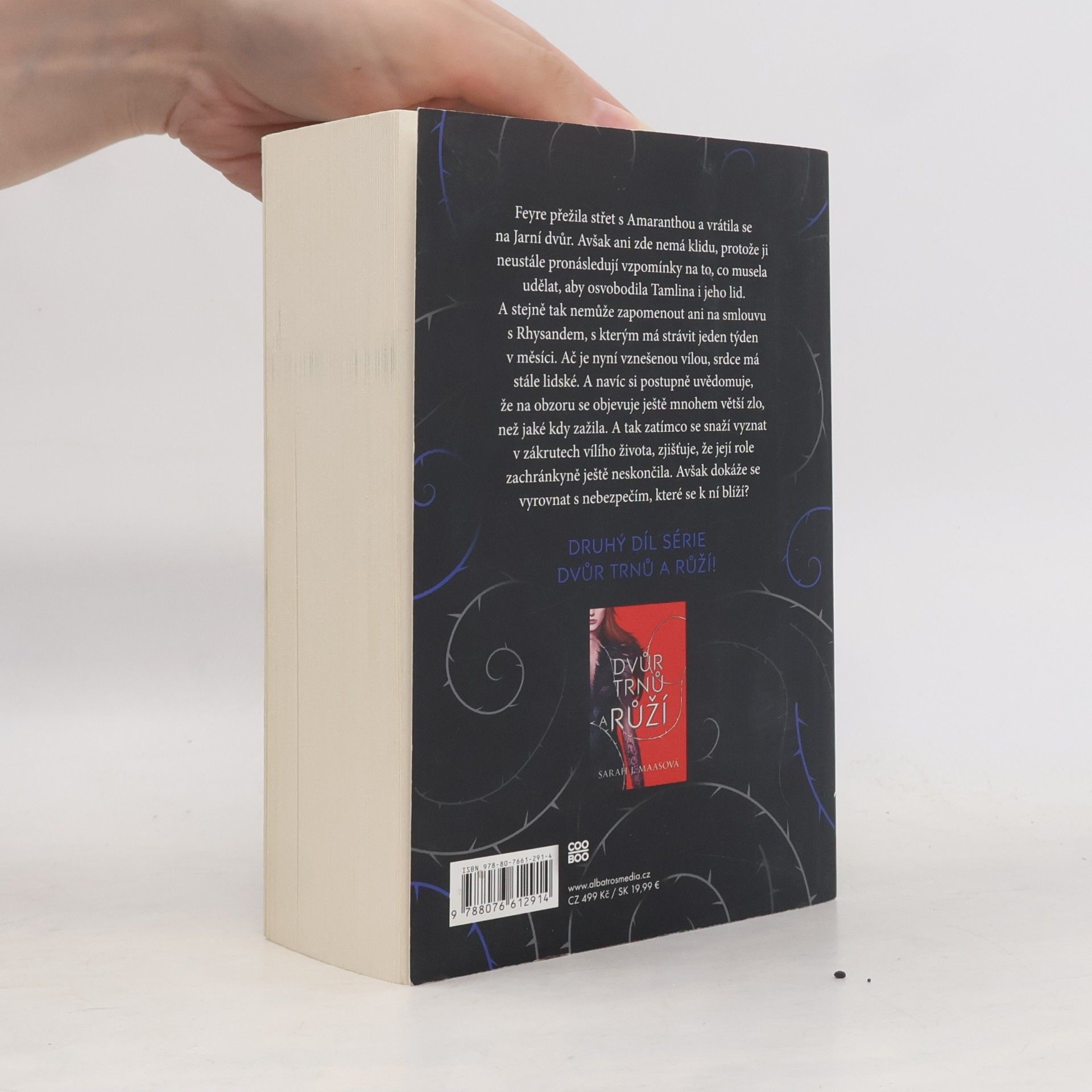 Sarah J. Maas Dvůr mlhy a hněvu