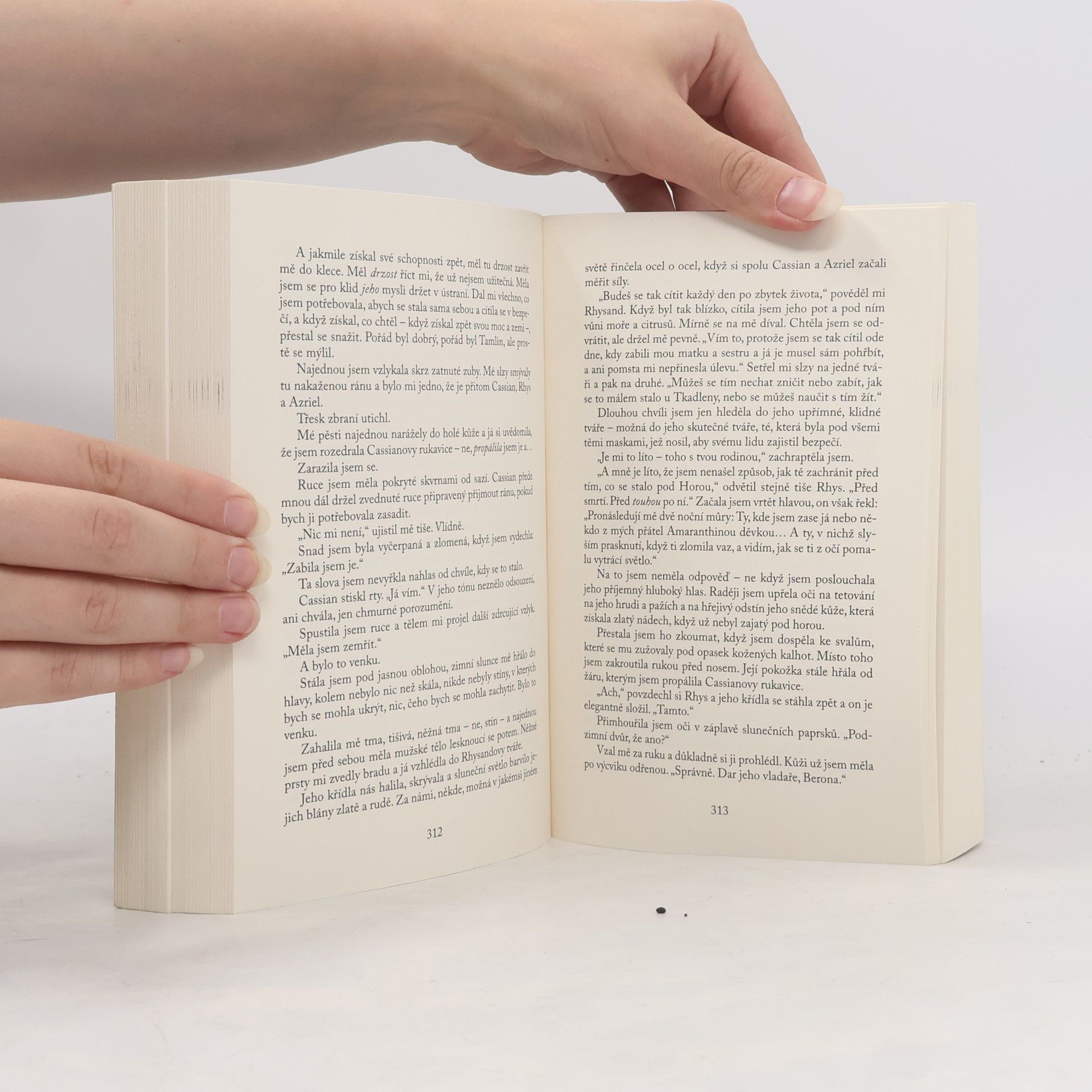 Sarah J. Maas Dvůr mlhy a hněvu