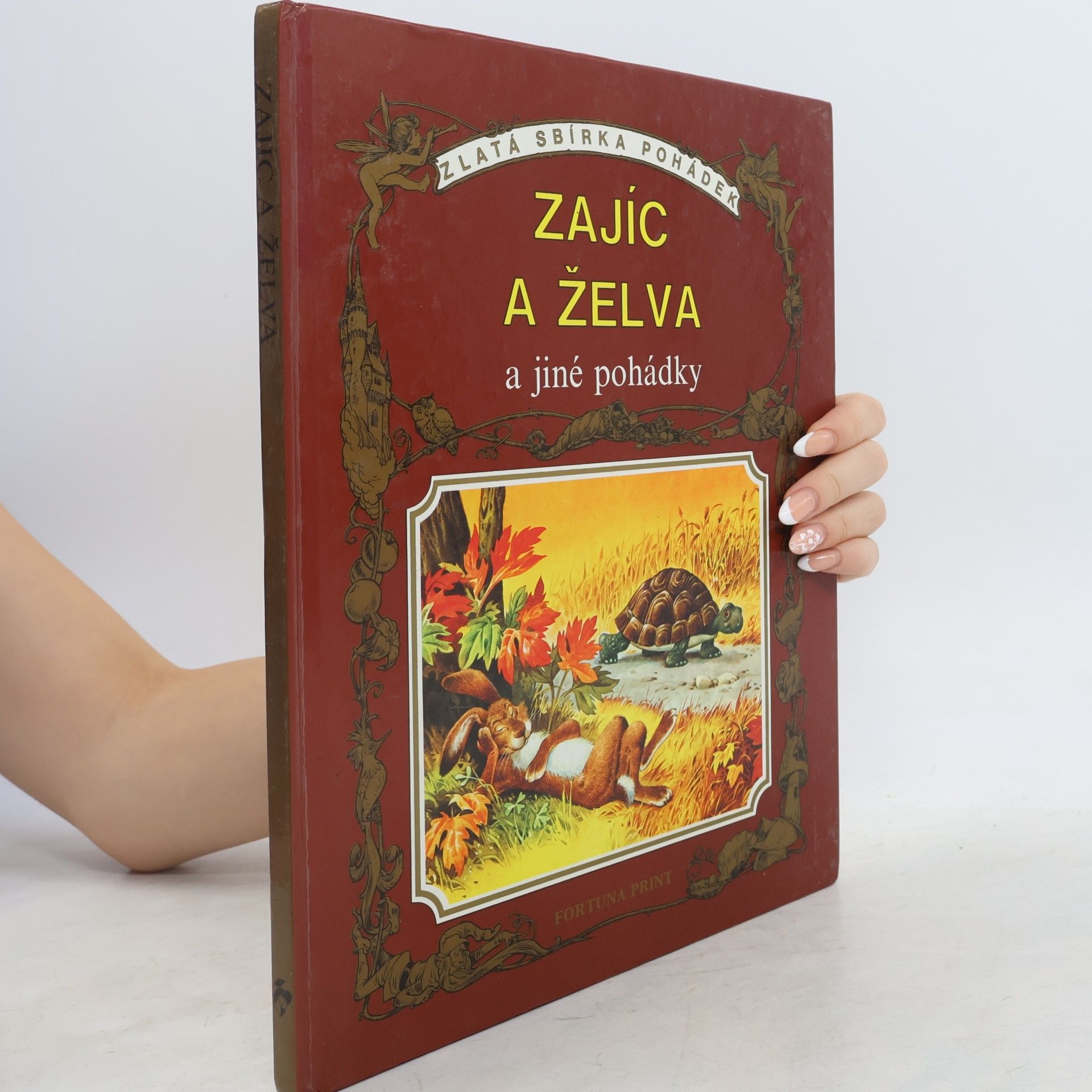 Autorenkollektiv Zajíc a želva a jiné pohádky