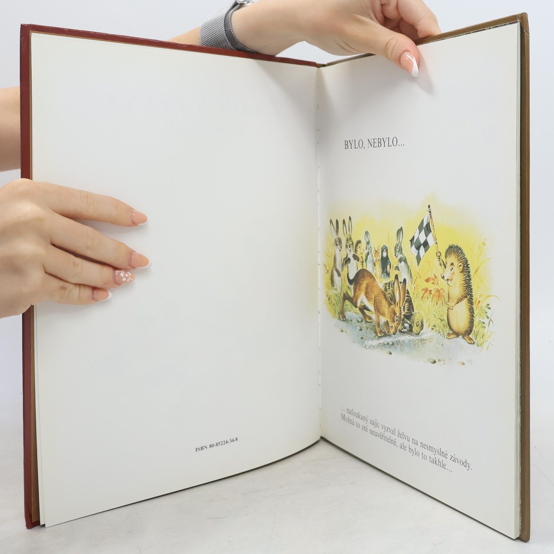 Autorenkollektiv Zajíc a želva a jiné pohádky