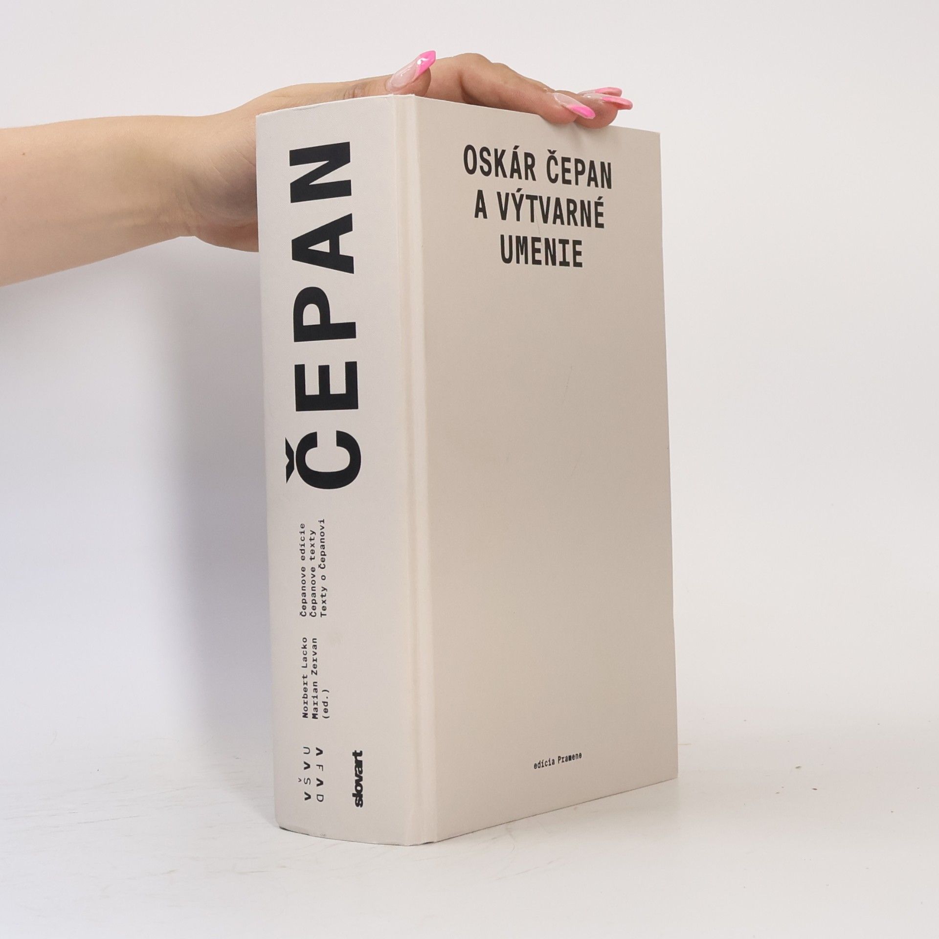 Kolektiv autorů Oskár Čepan a výtvarné umenie Čepan