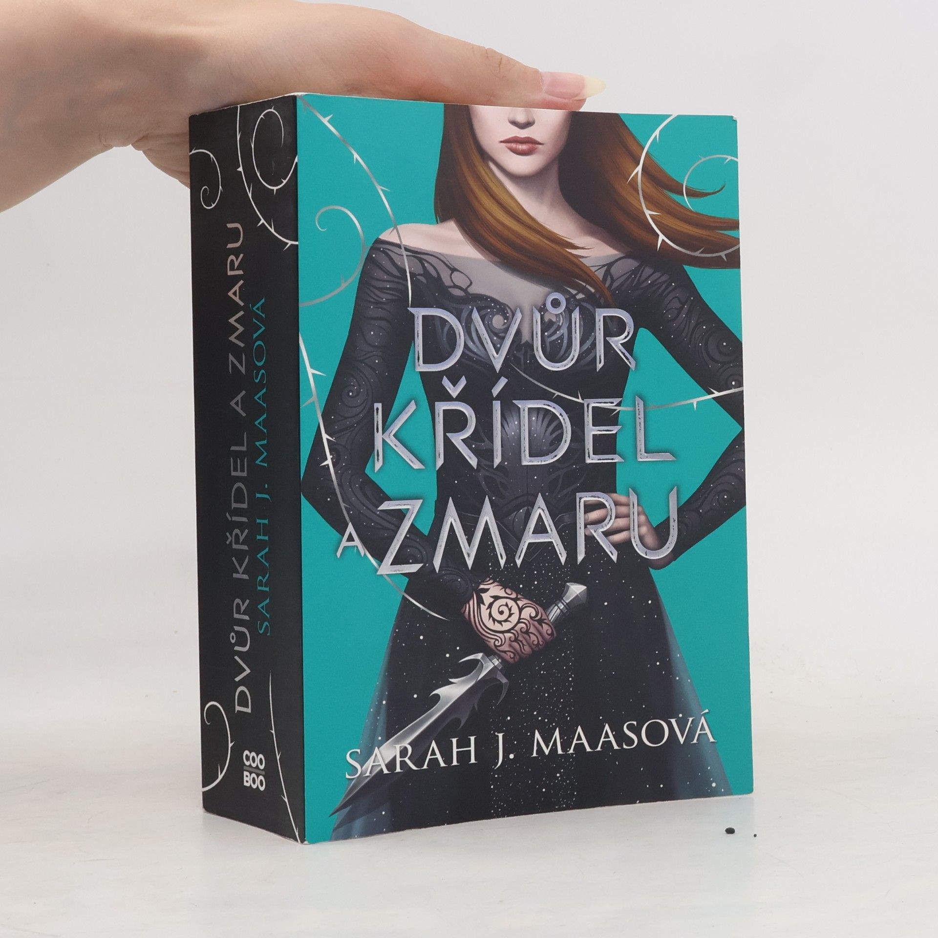 Sarah J. Maas Dvůr křídel a zmaru
