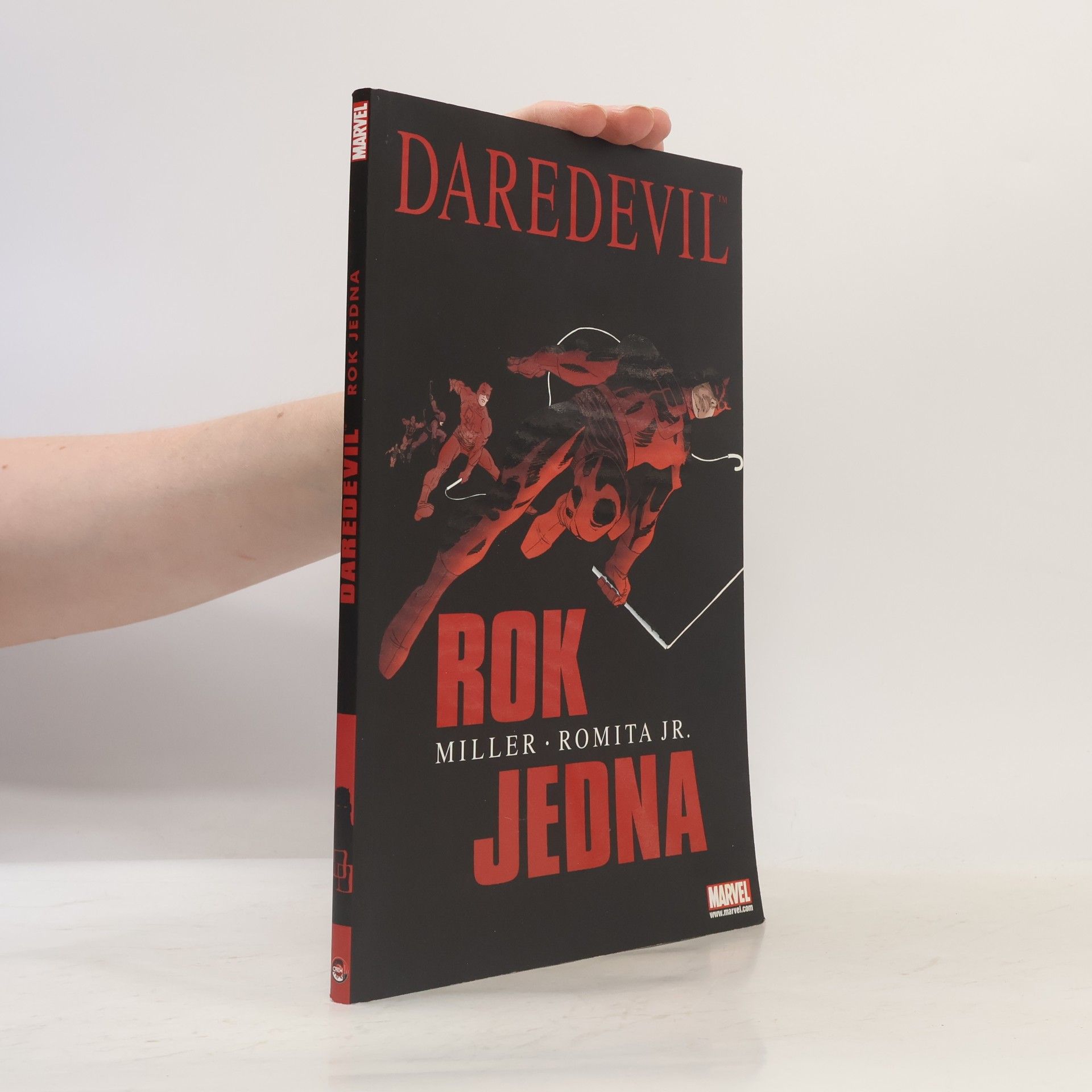 Daredevil. Rok jedna