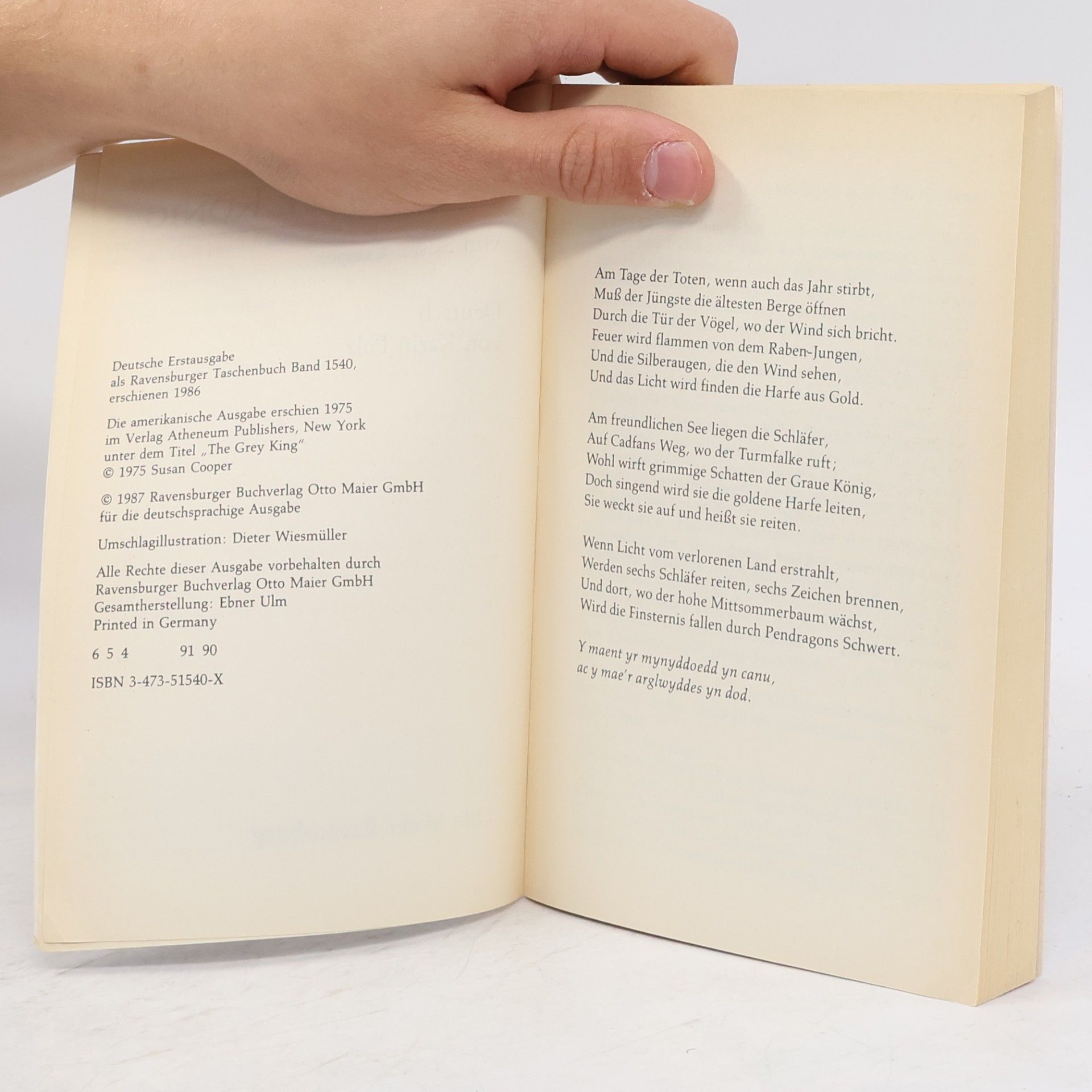 Susan Cooper Der Graue König