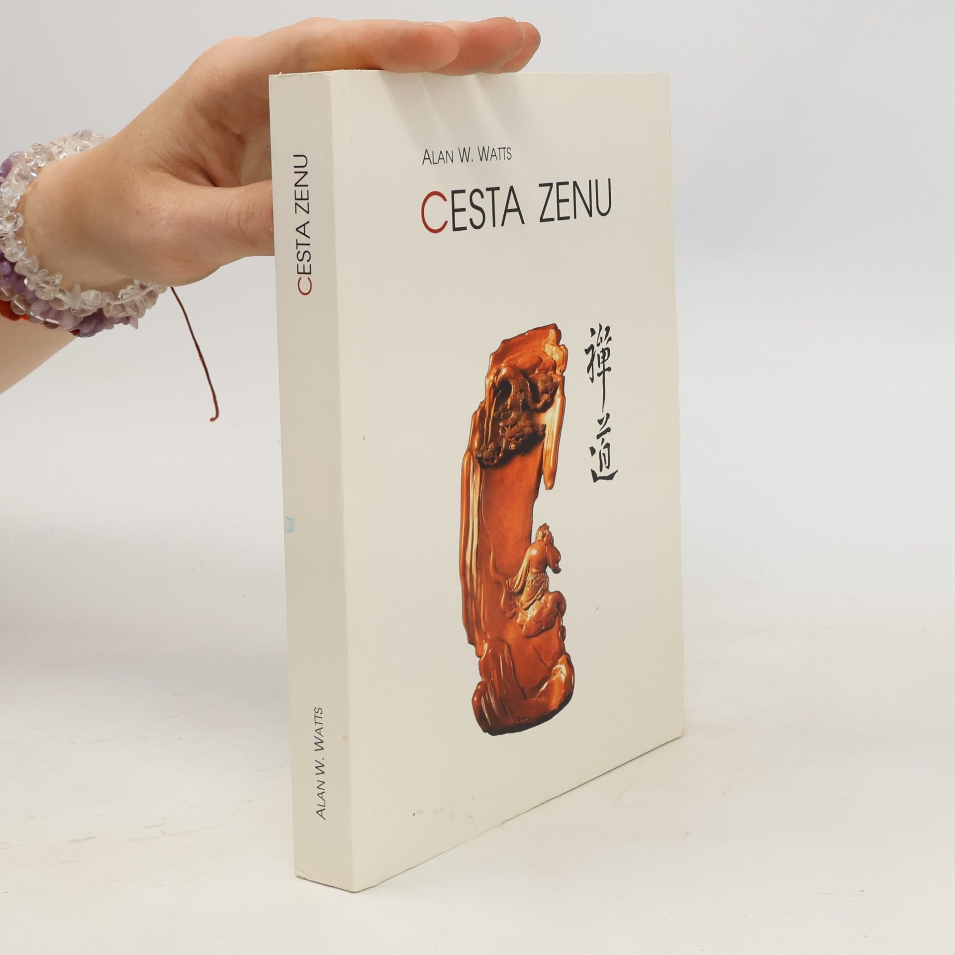 Alan Watts Cesta zenu