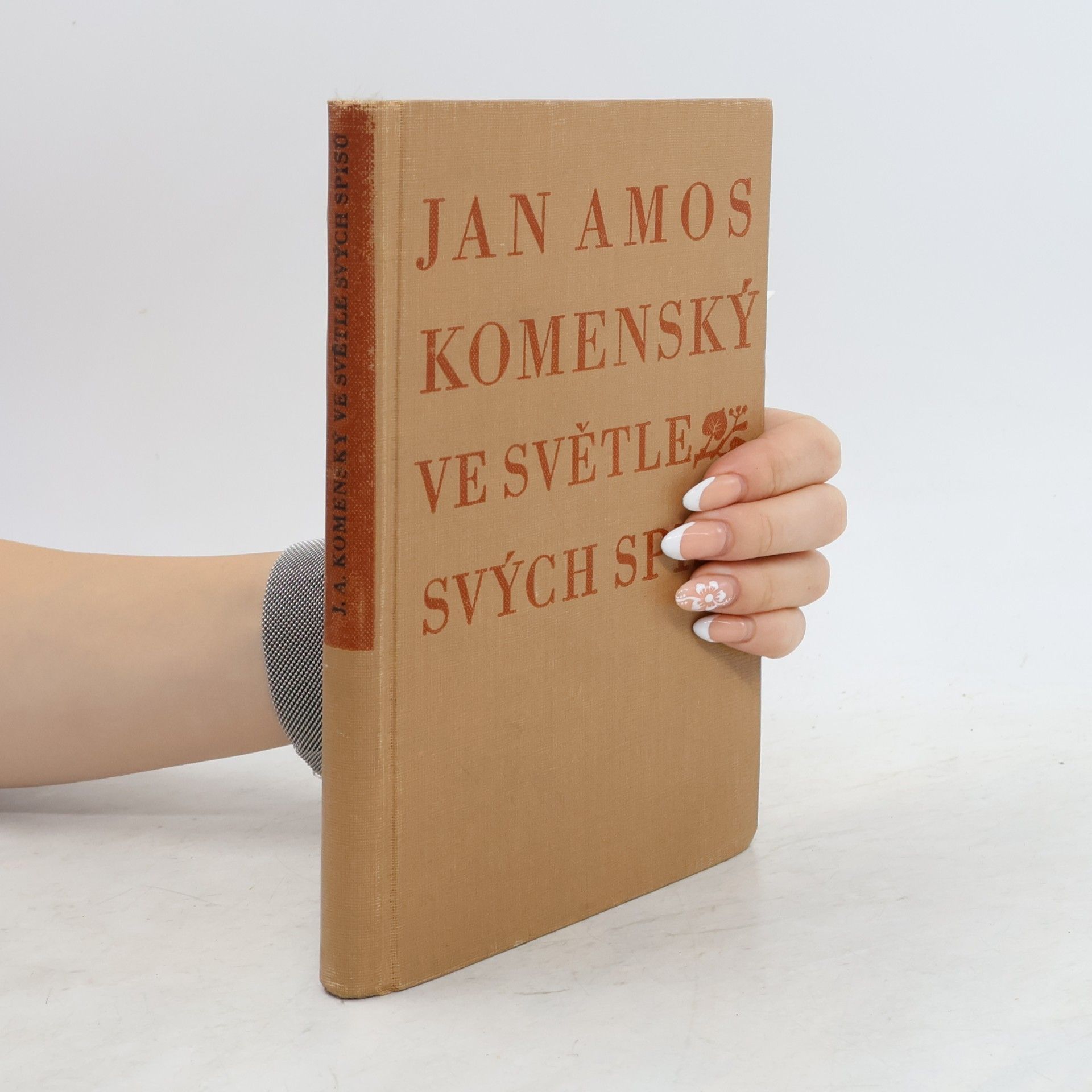 Josef Hendrich Jan Amos Komenský ve světle svých spisů