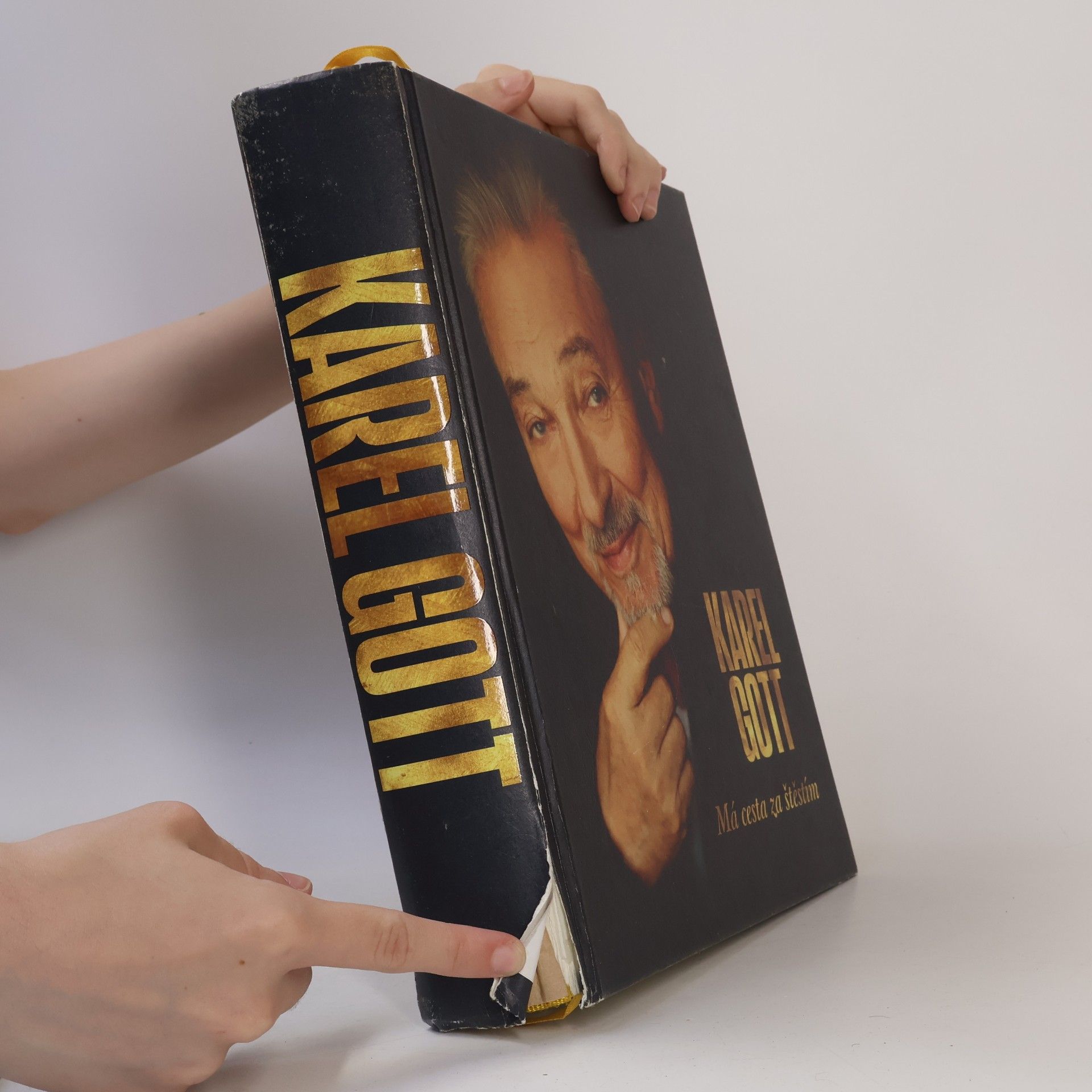 Karel Gott Má cesta za štěstím