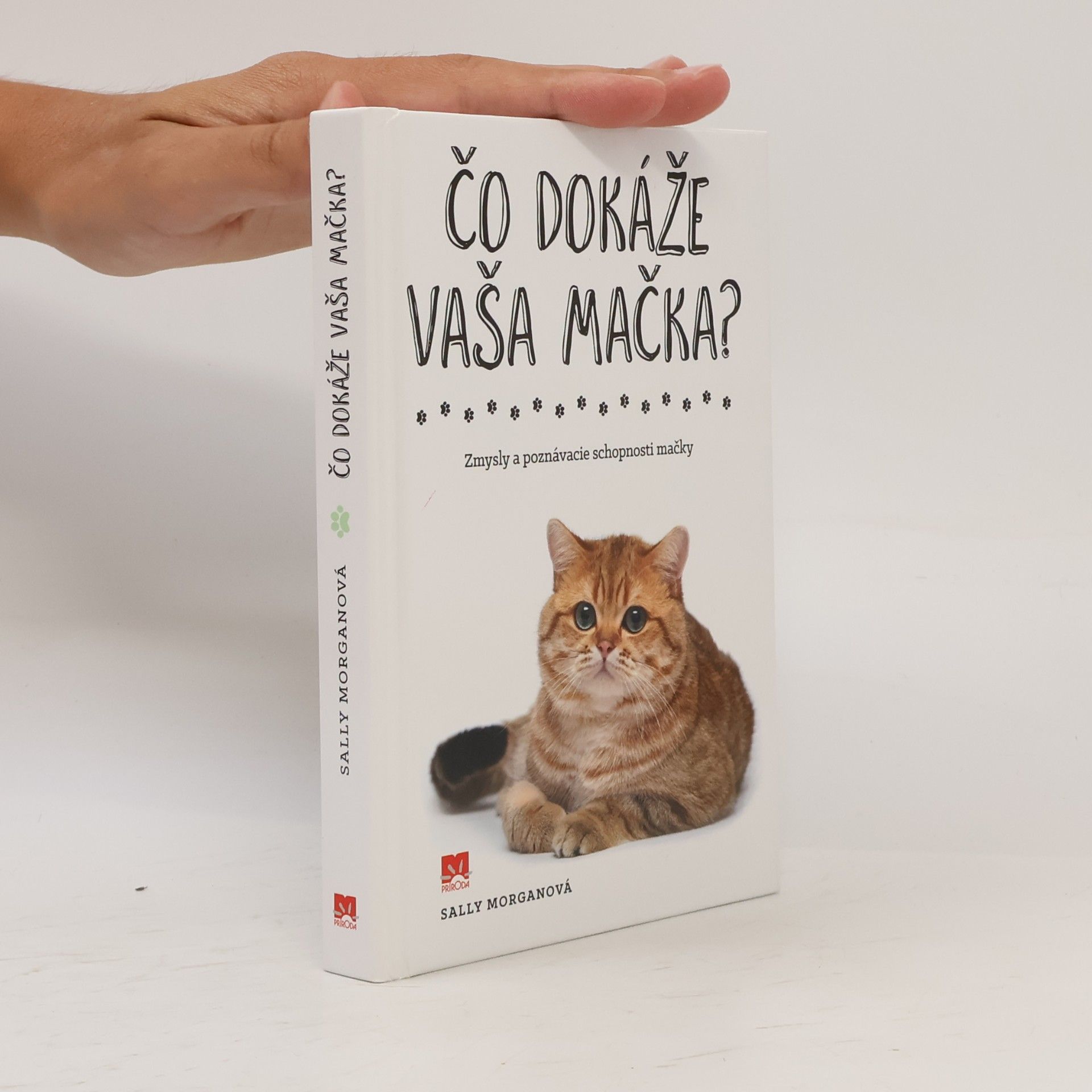 Sally Morgan Čo dokáže vaša mačka?