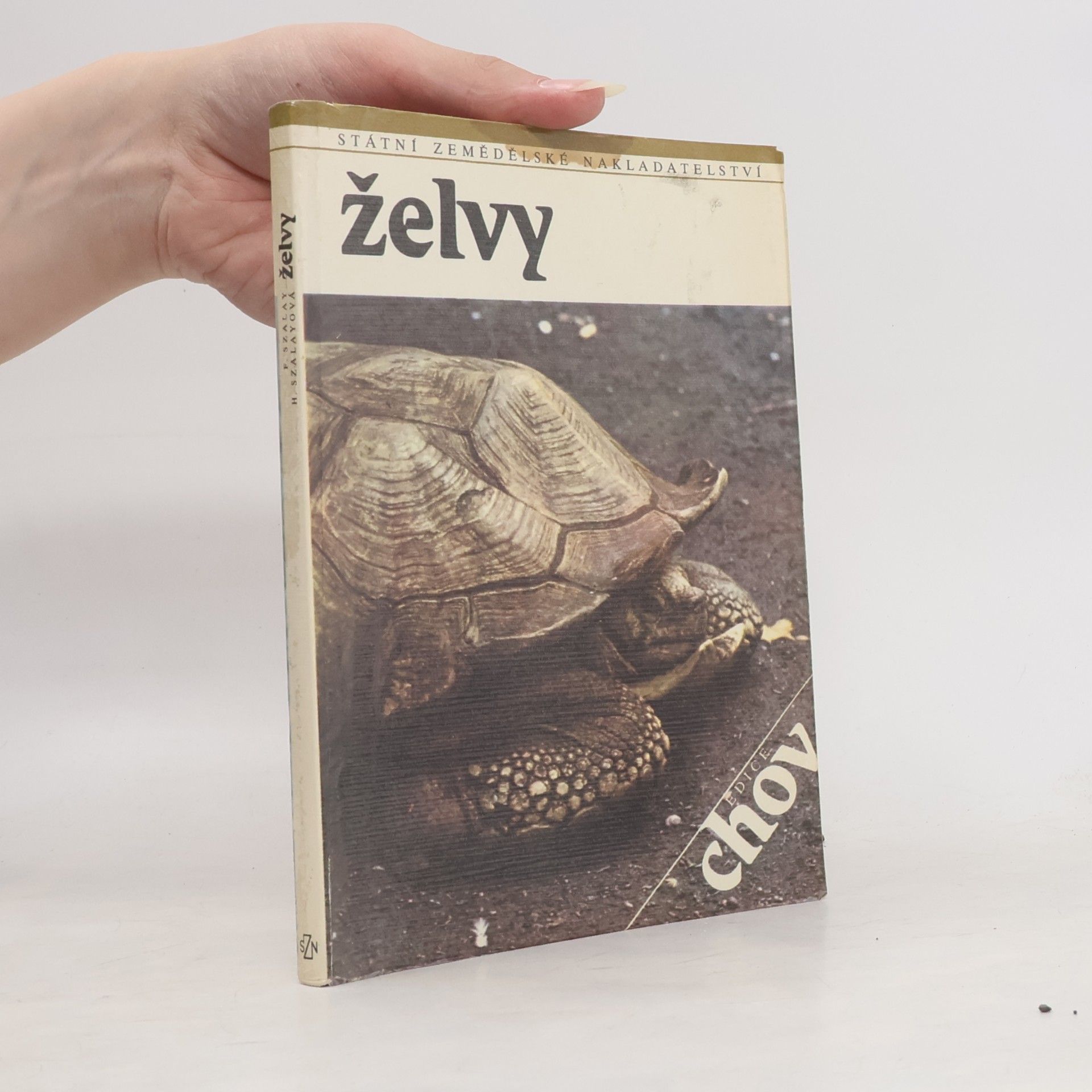 H. Szalayová Želvy