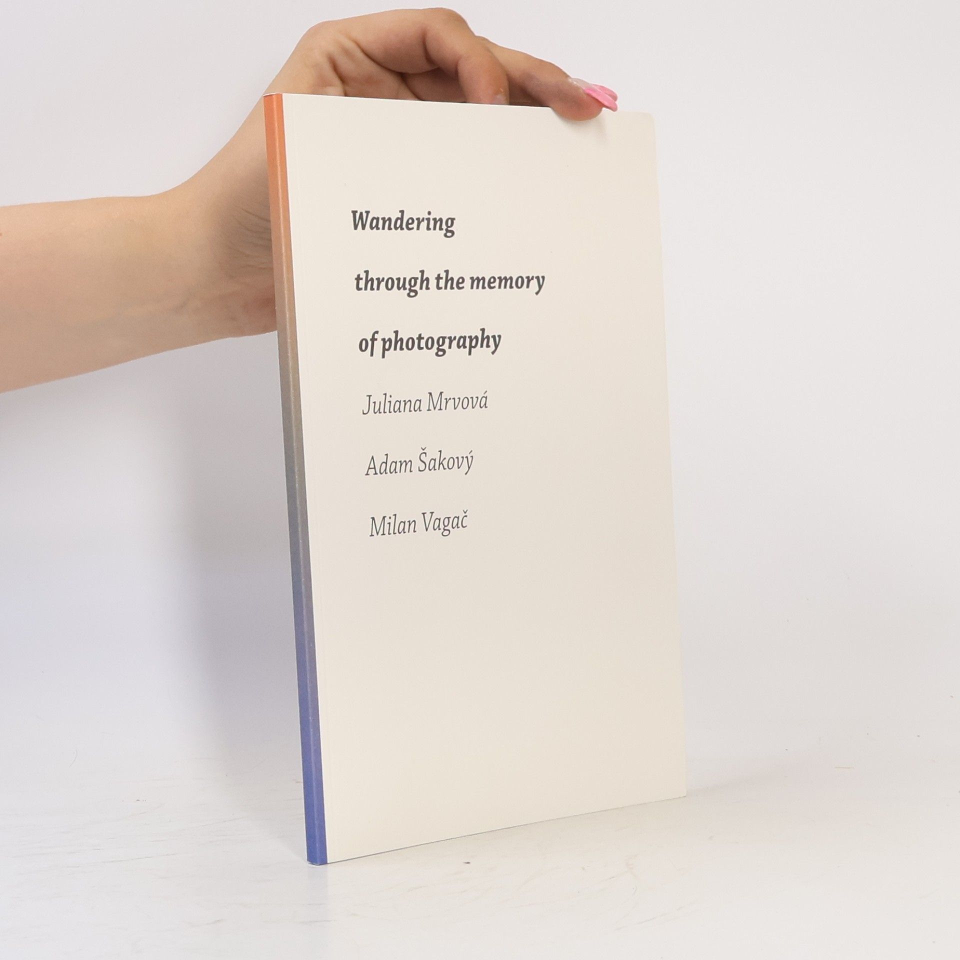 Wandering through the memory of photography