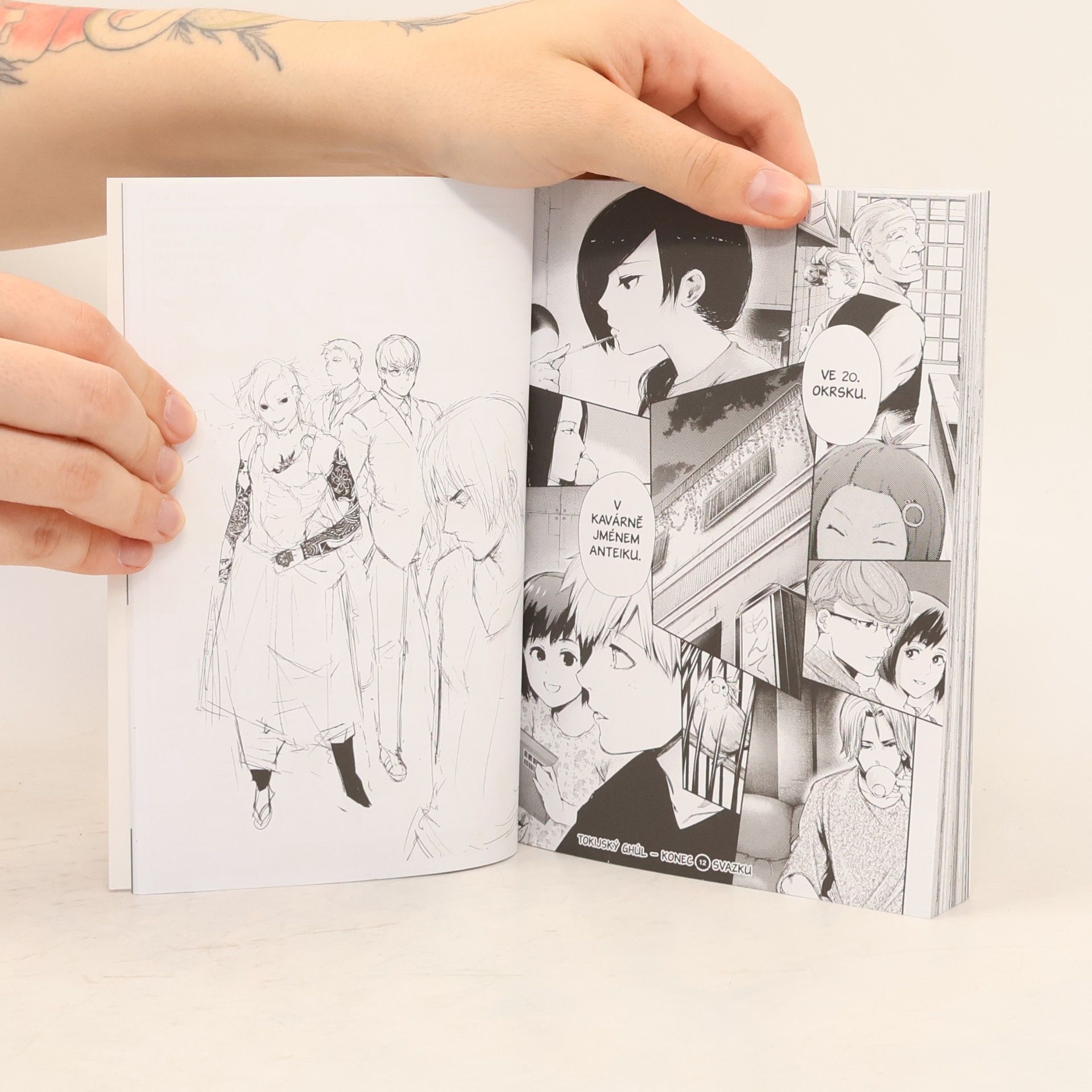 Sui Ishida Tokijský ghúl 12