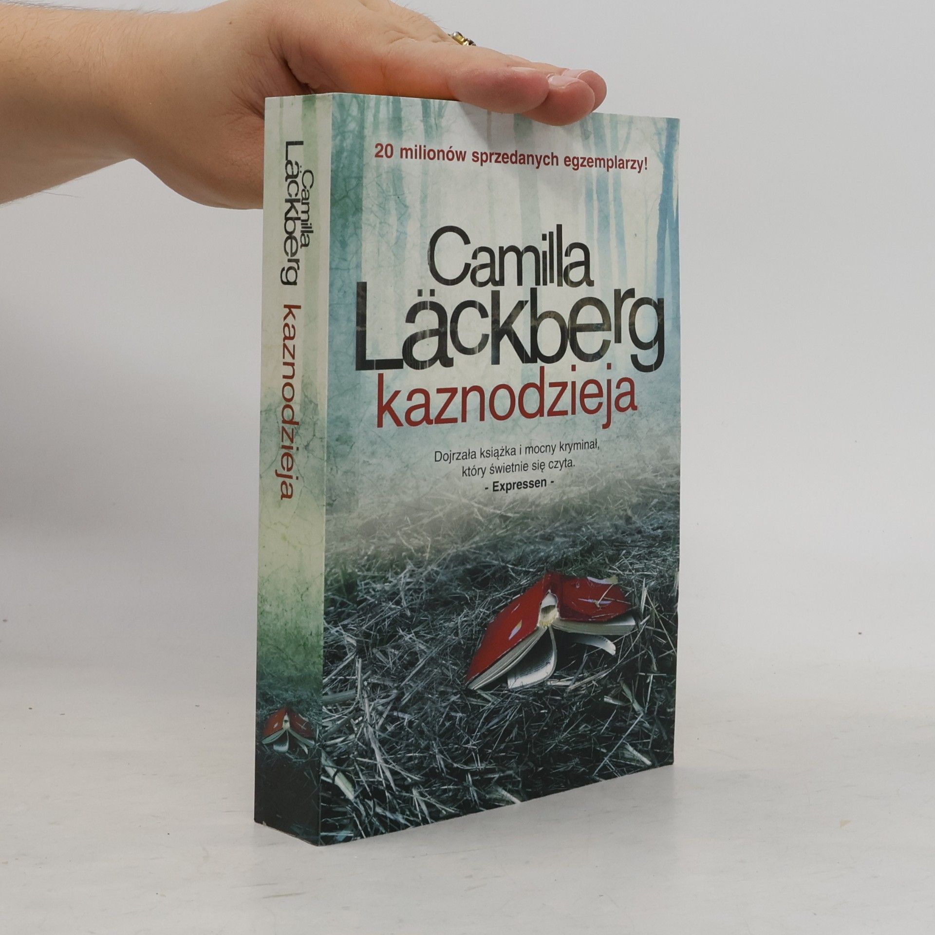 Camilla Läckberg Kaznodzieja
