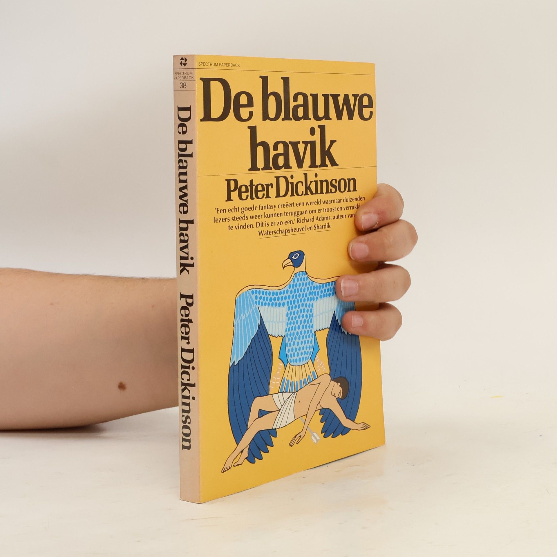Pon Ruiter De blauwe havik