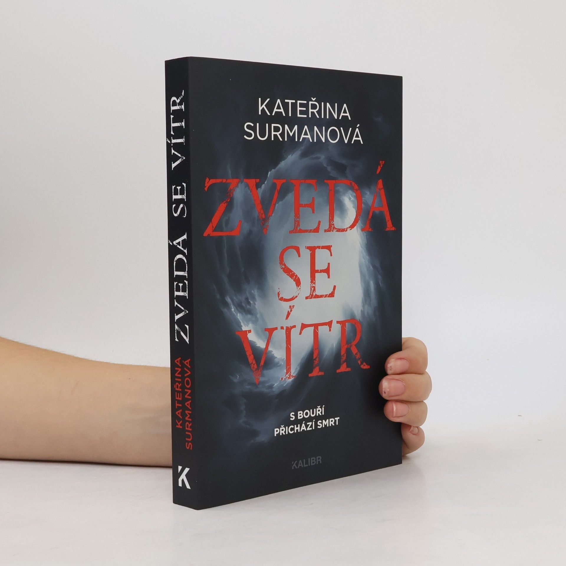 Kateřina Surmanová Zvedá se vítr