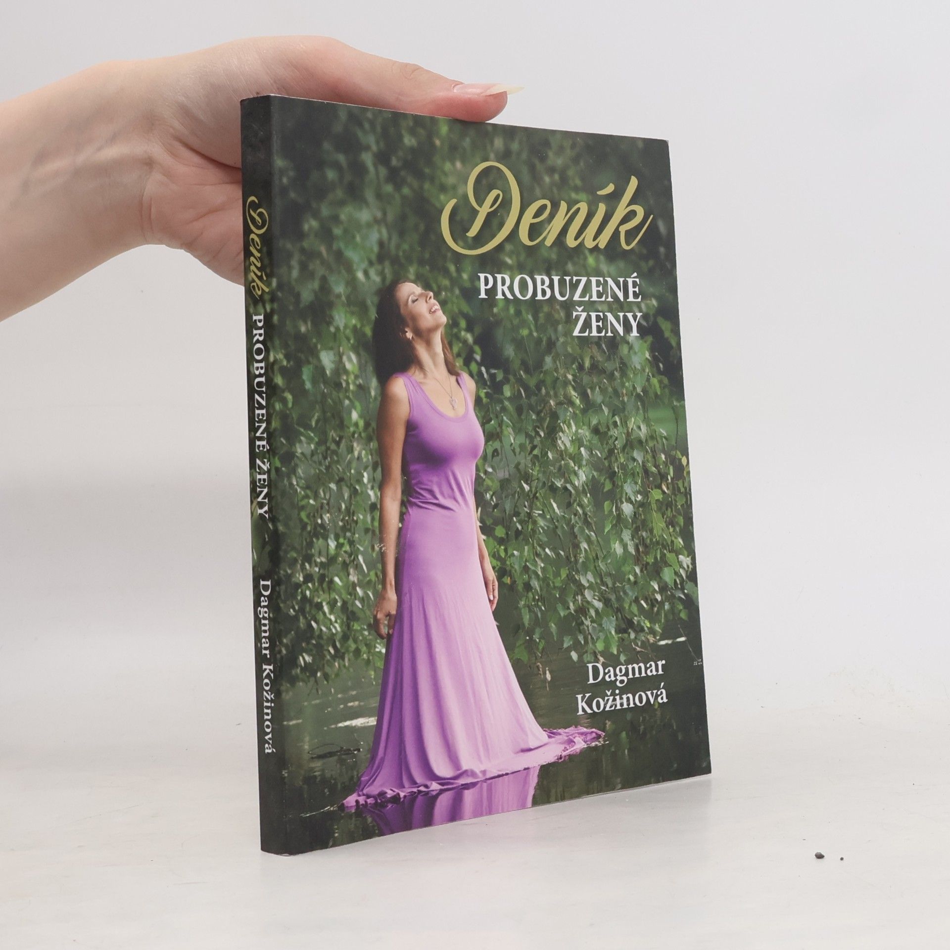 Dagmar Kožinová Deník probuzené ženy
