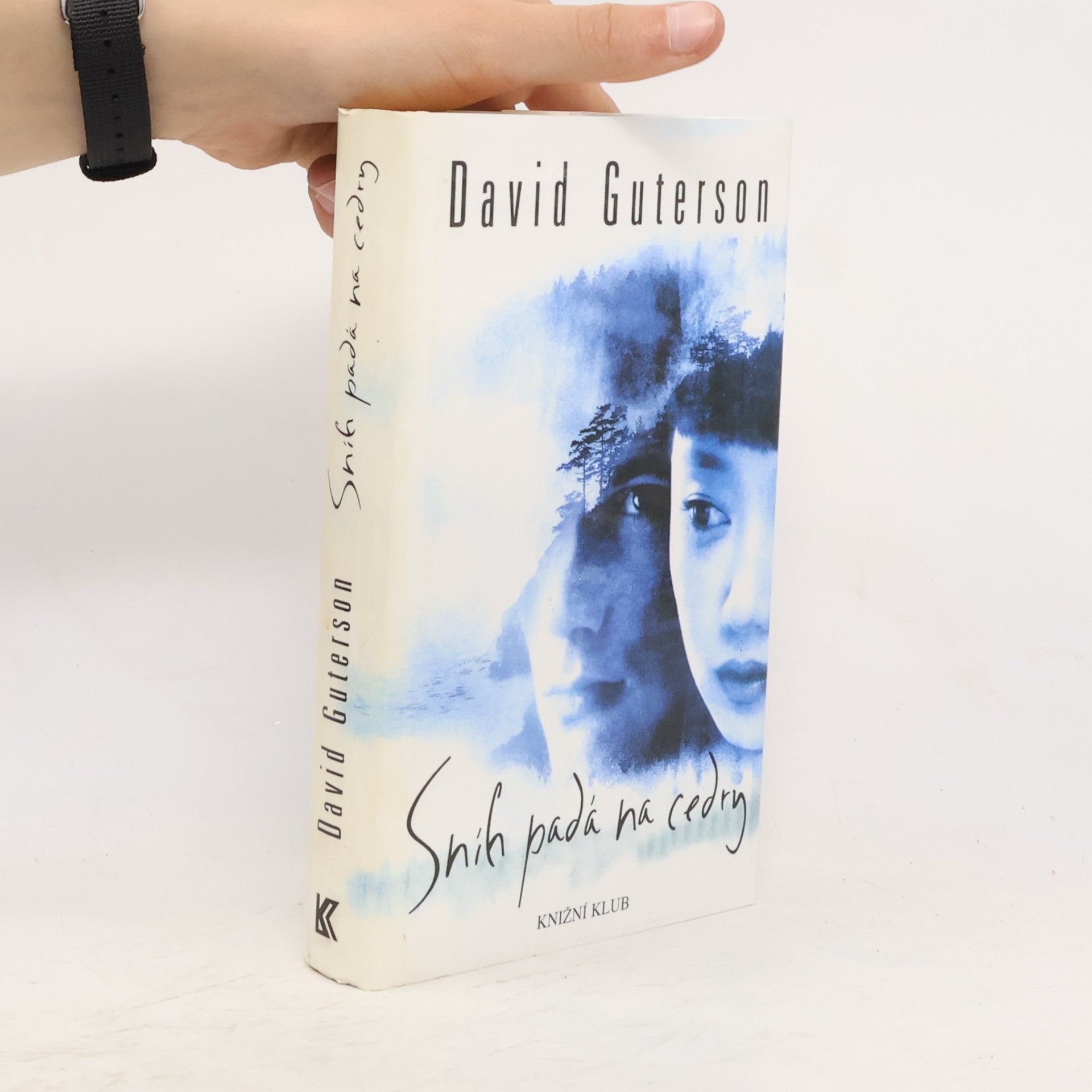 David Guterson Sníh padá na cedry