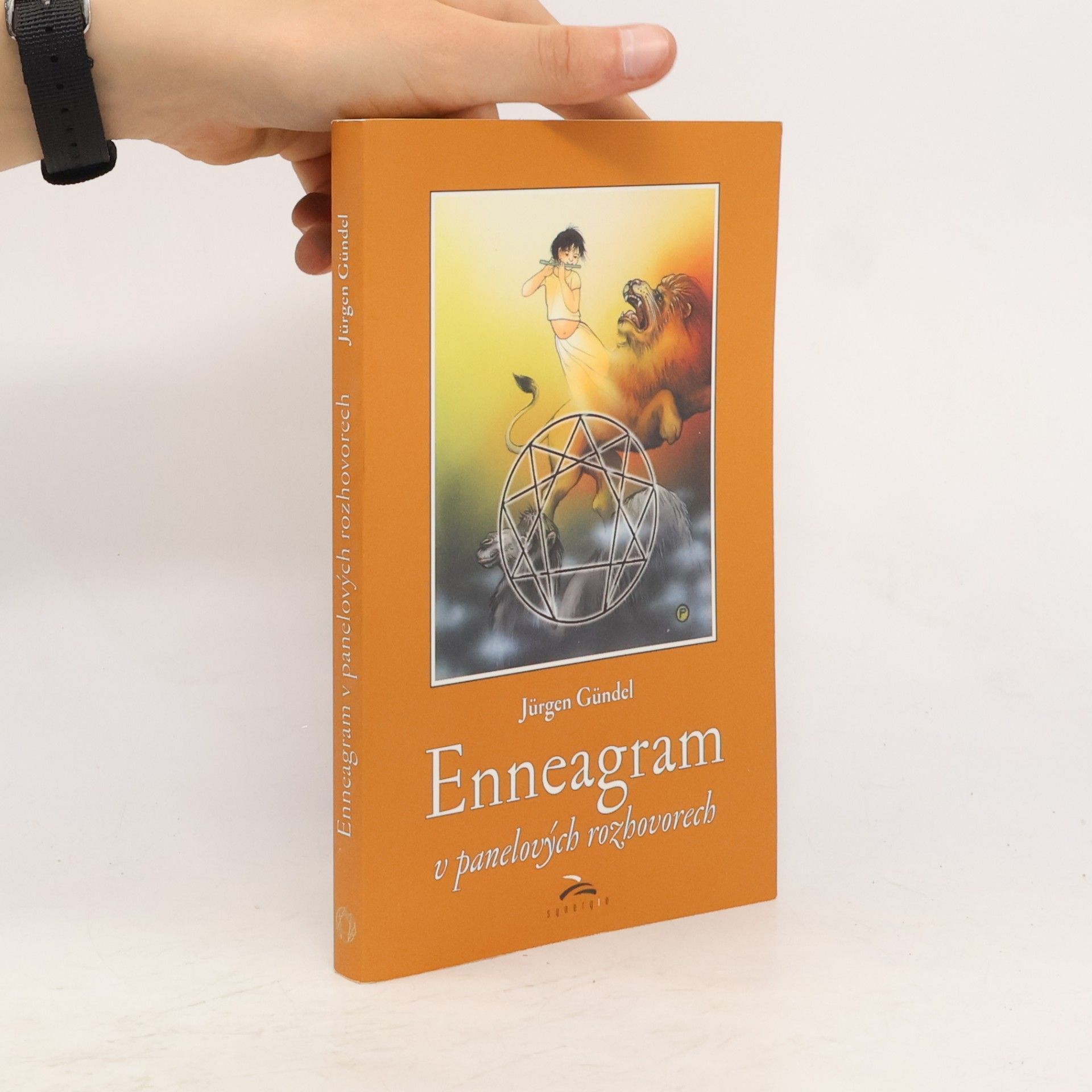 Jürgen Gündel Enneagram v panelových rozhovorech