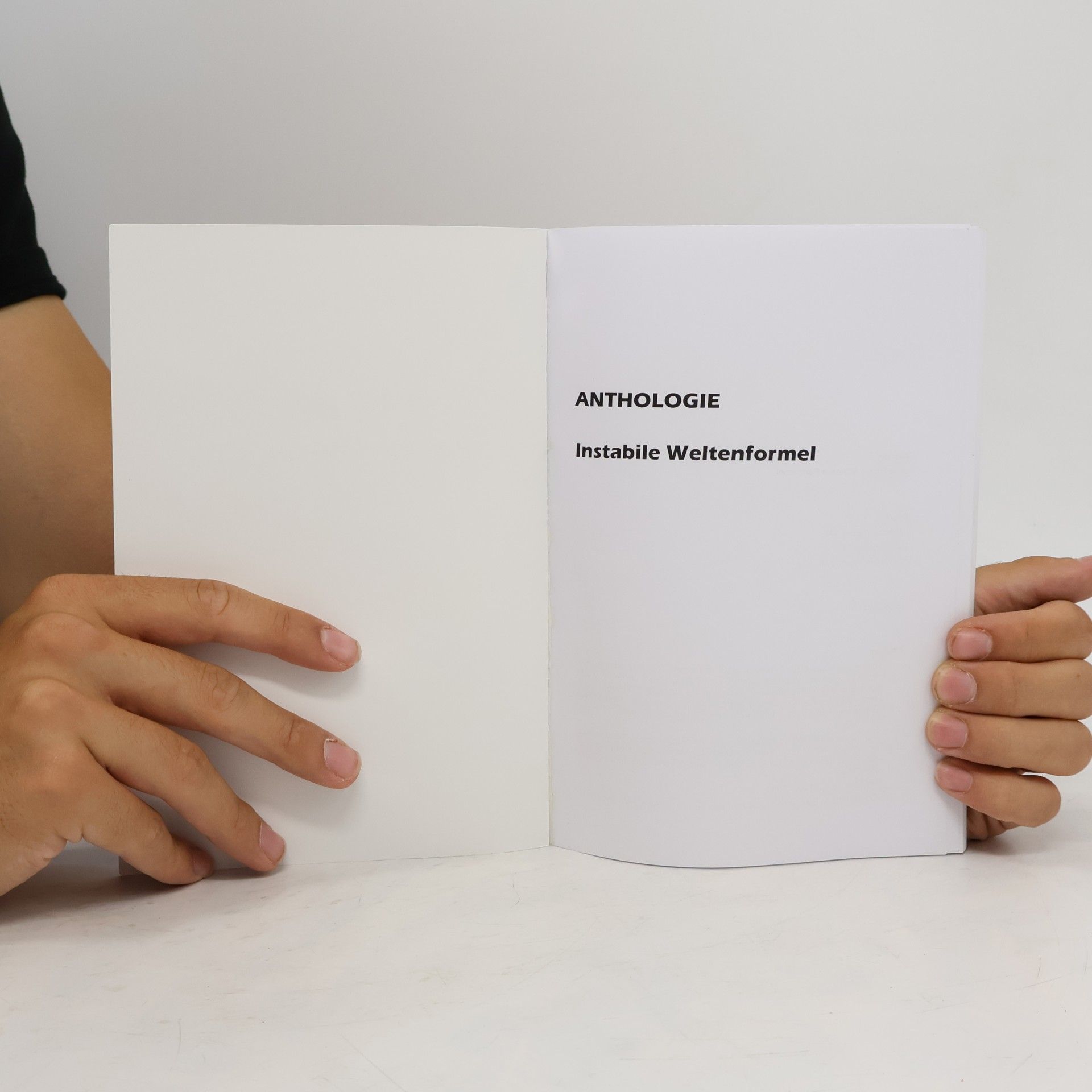 Irene Hager Anthologie. Instabile Weltenformel