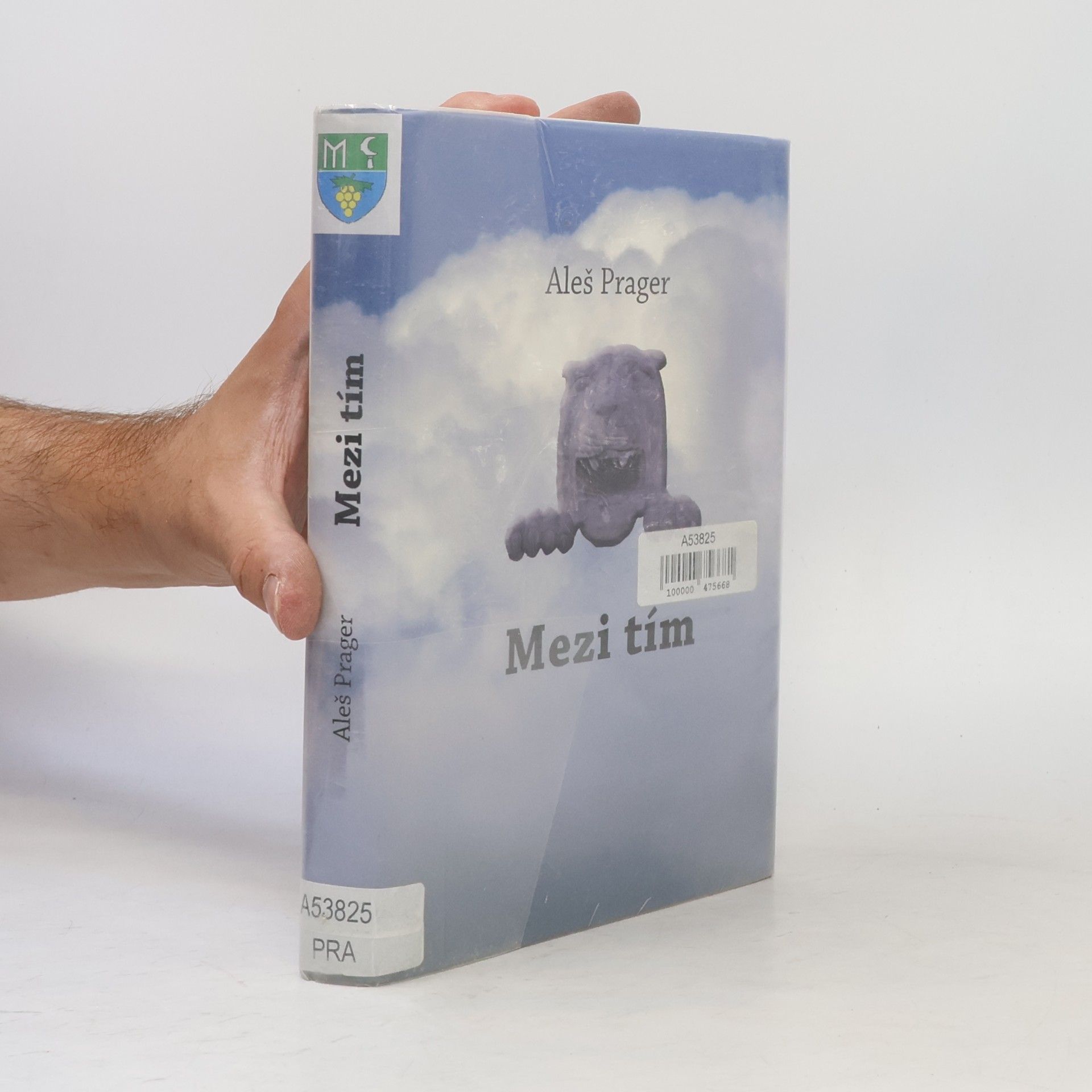 Aleš Prager Mezi tím