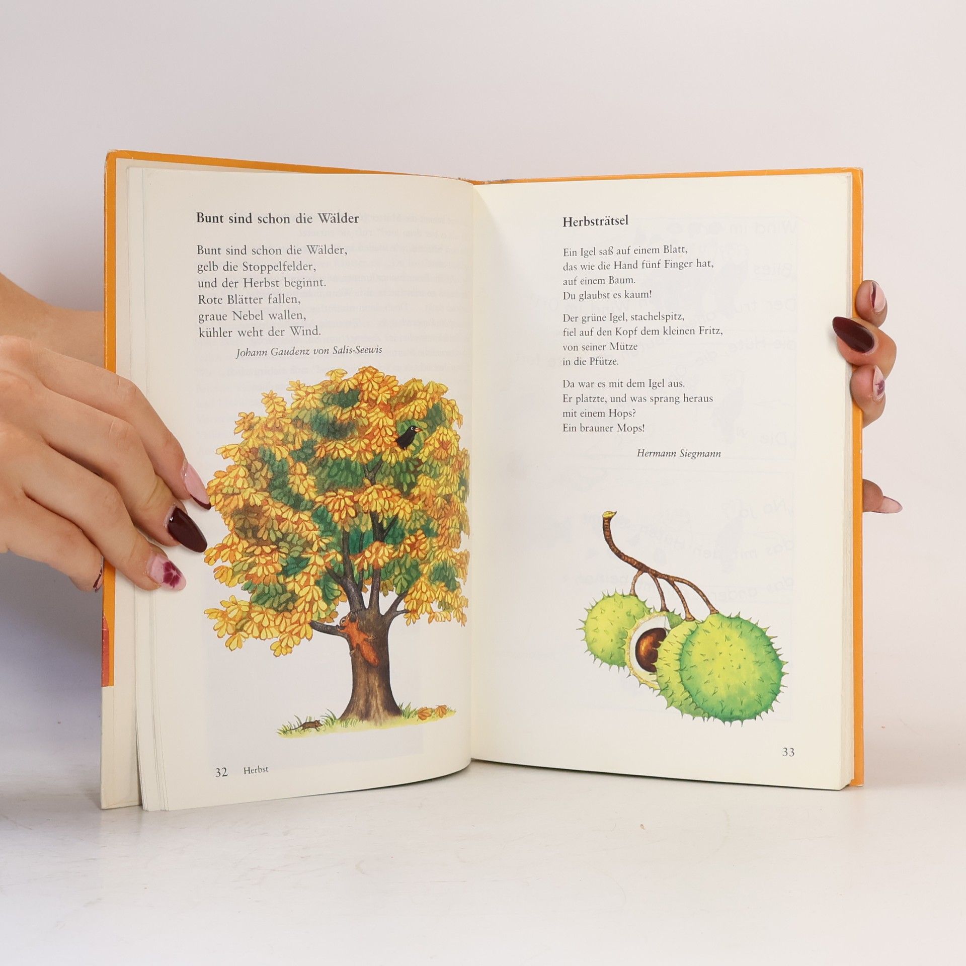 Siegfried Buck Bausteine Deutsch: Lesebuch
