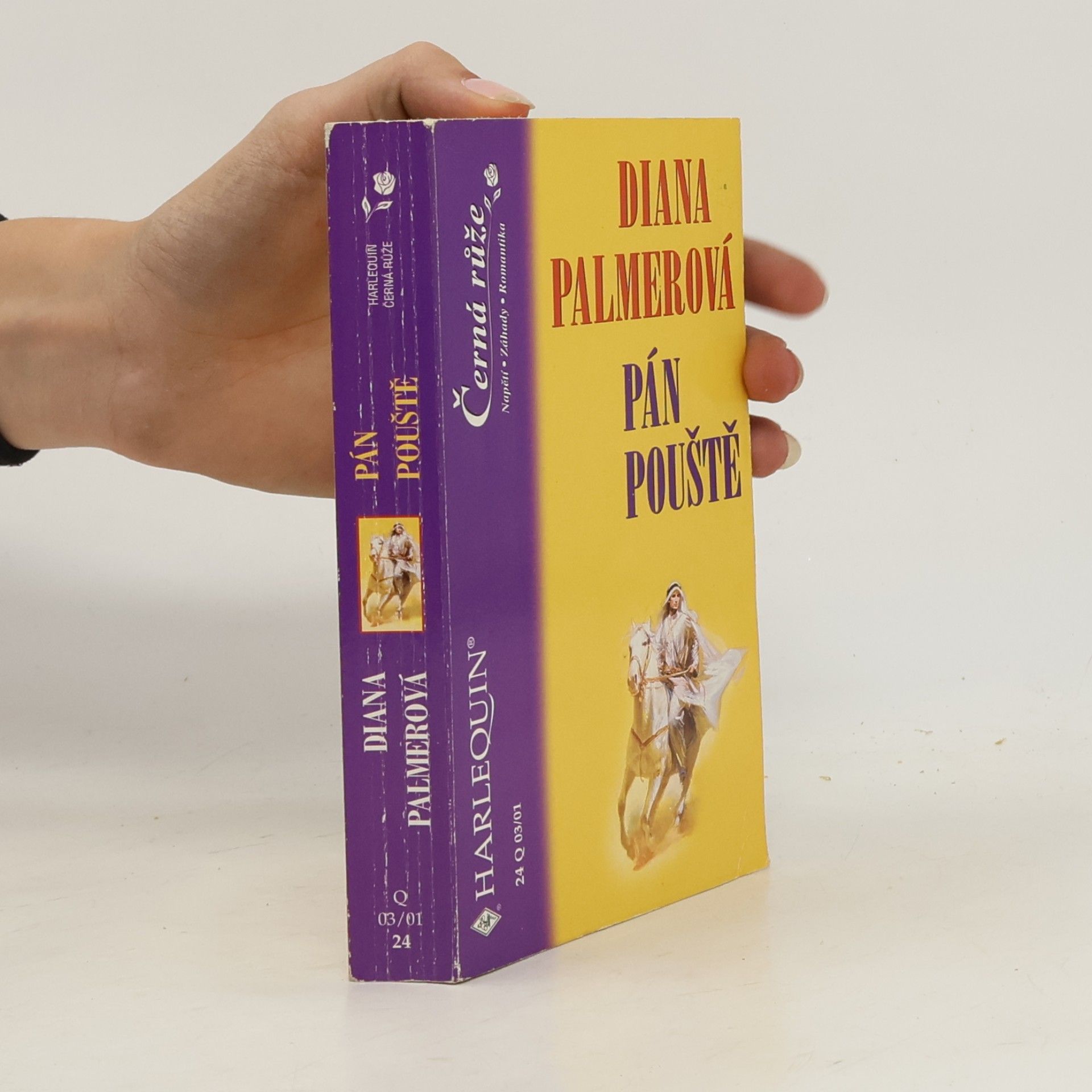 Diana Palmer Pán pouště
