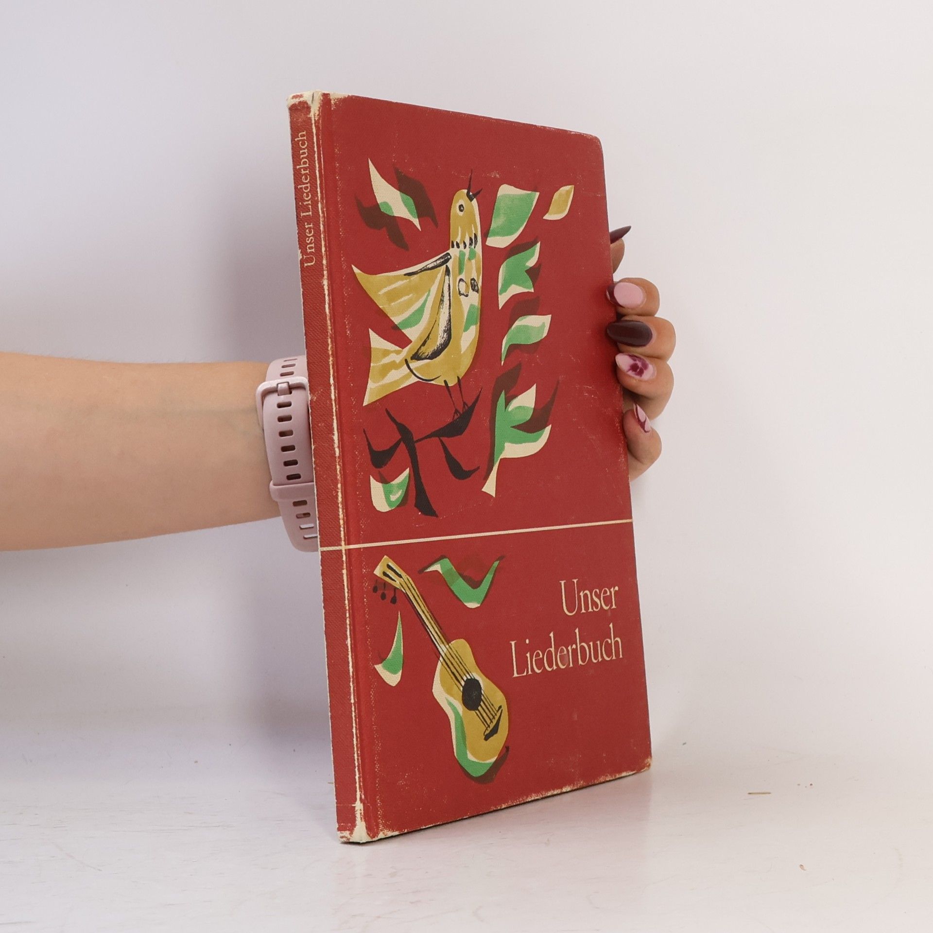 Kolektiv autorů Unser Liederbuch