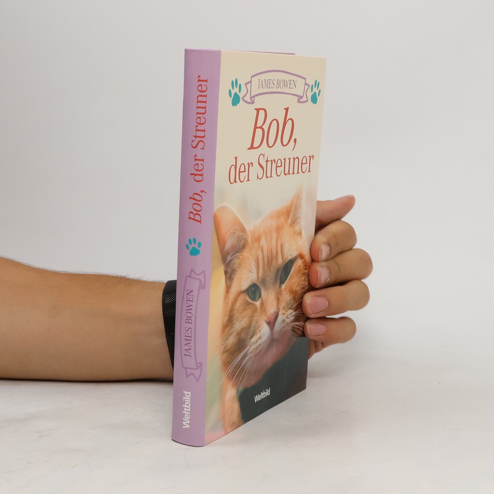 James Bowen Bob, der Streuner