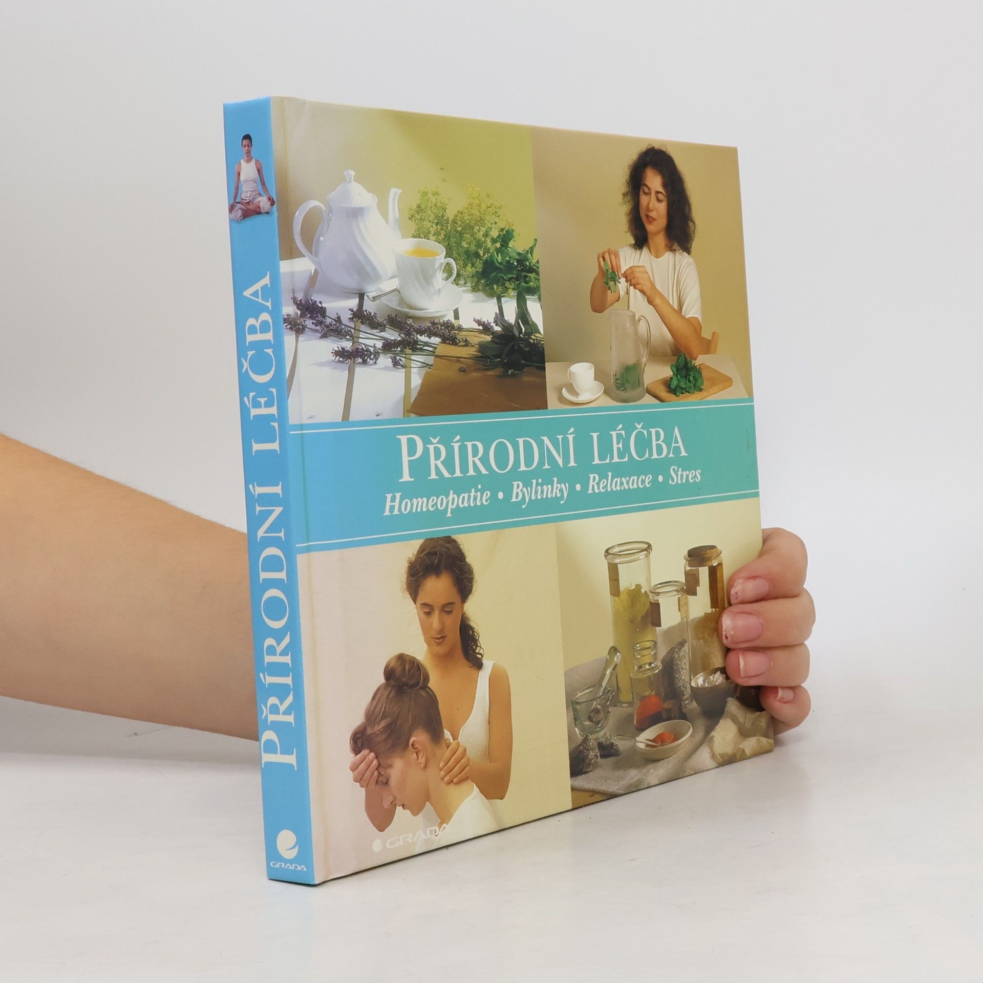 Sue Hawkey Přírodní léčba : homeopatie, bylinky, relaxace, stres