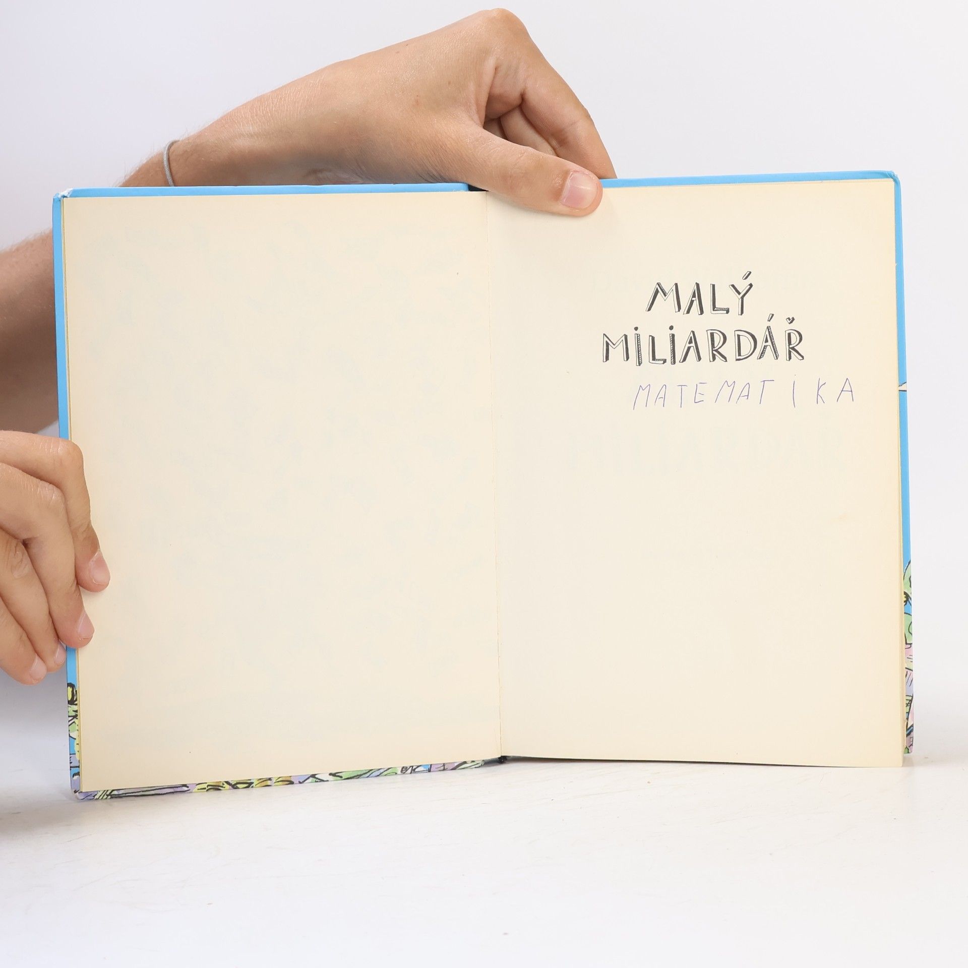 David Walliams Malý miliardář
