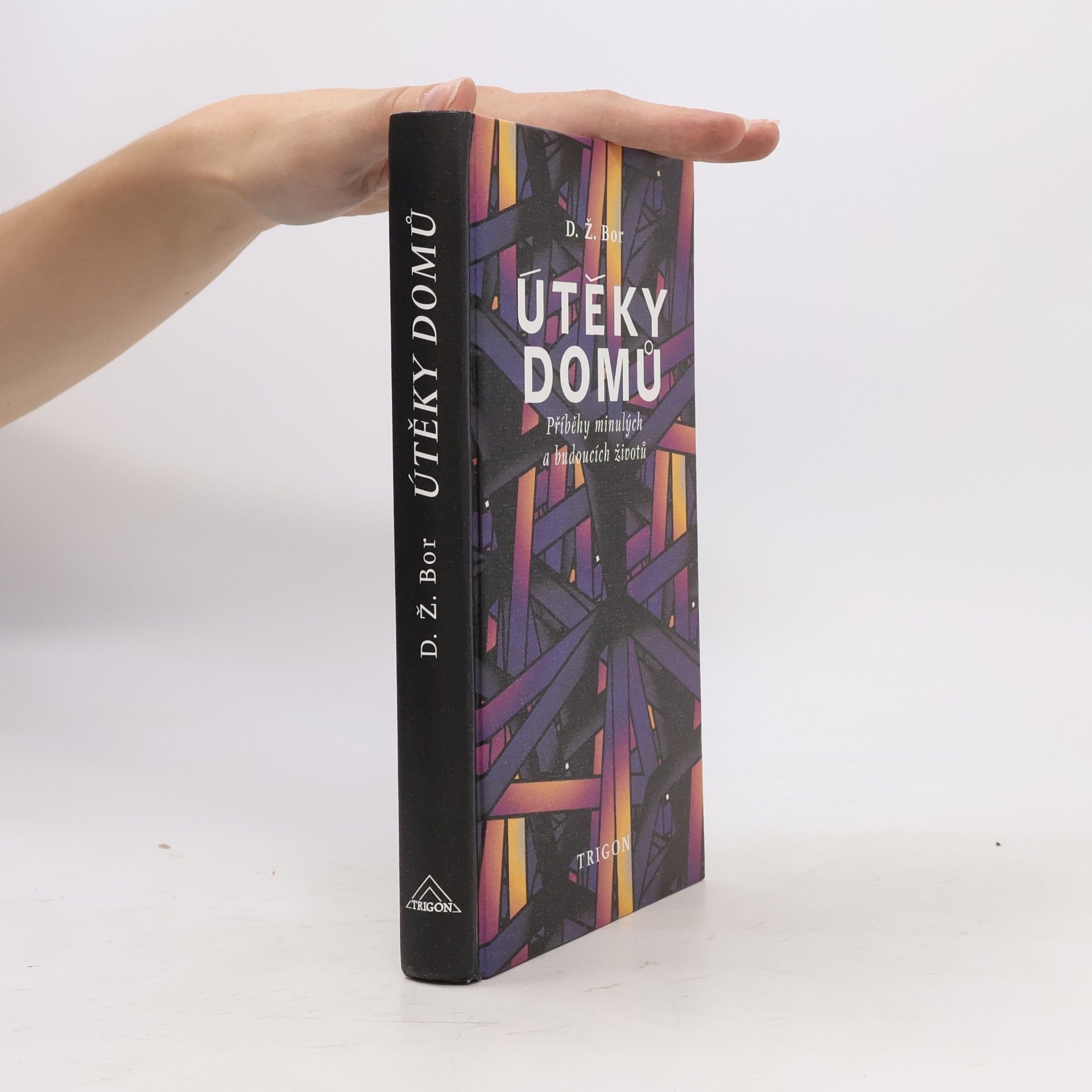 D. Ž. Bor Útěky domů