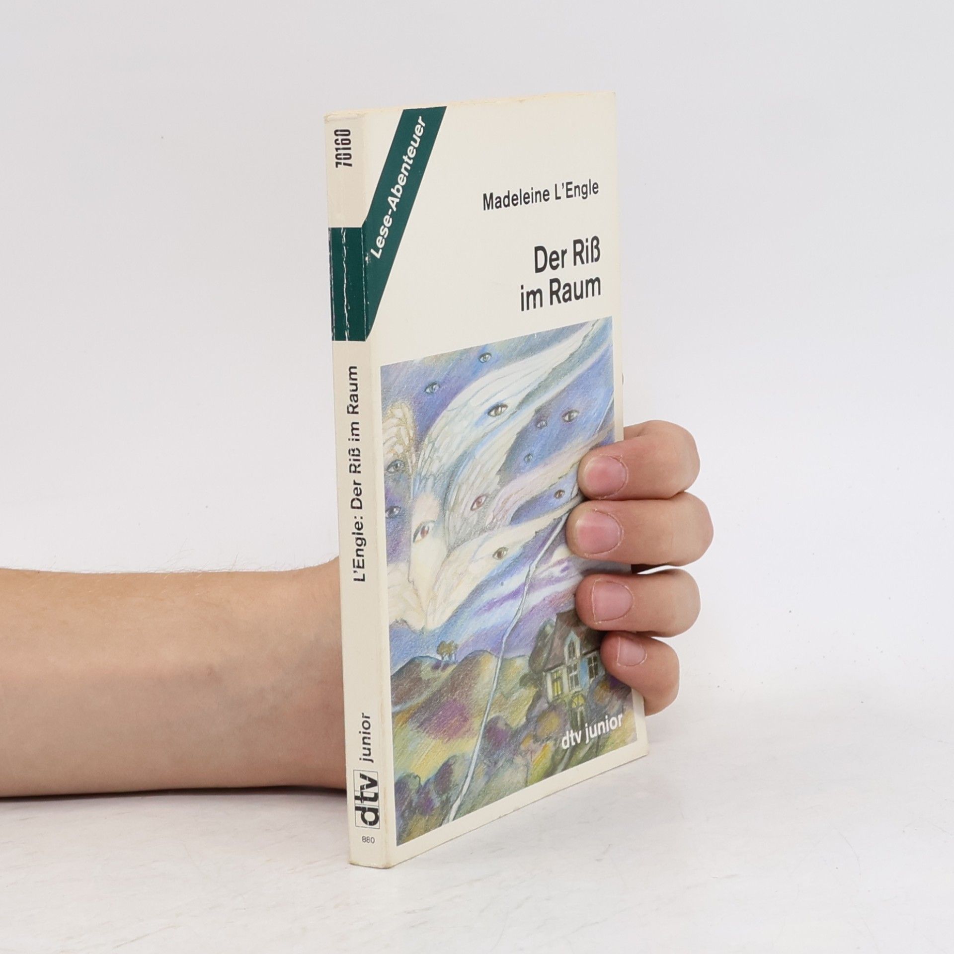 Madeleine L'Engle Der Riß im Raum