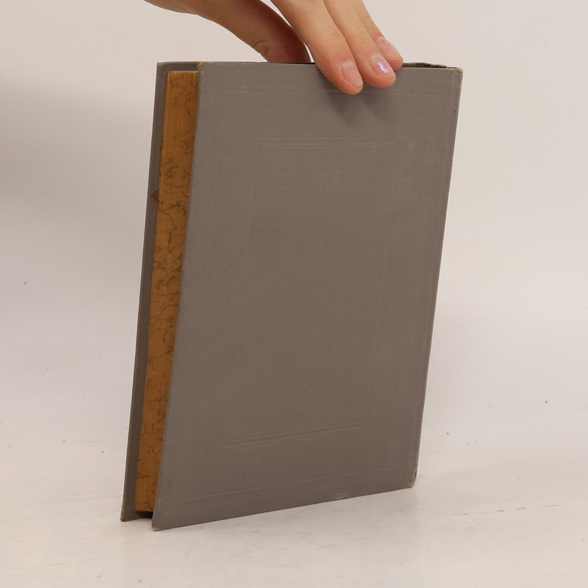 Fjodor Michailowitsch Dostojewski Spisy Fedora Michajloviče Dostojevského Svazek XI. Běsové (díl I. a II. dílu hlava 1.-5.)