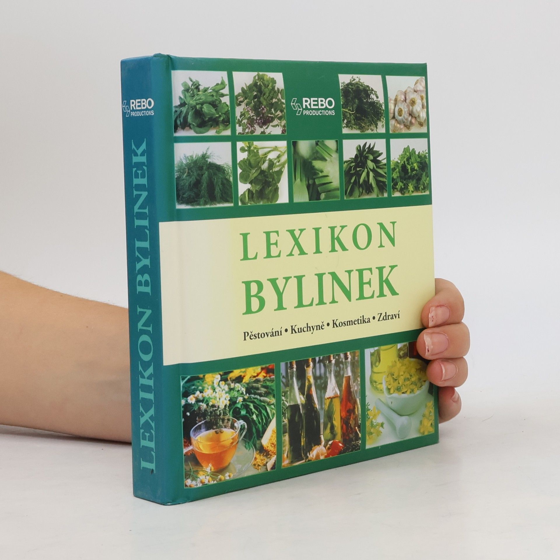 Andrea Rausch Lexikon bylinek
