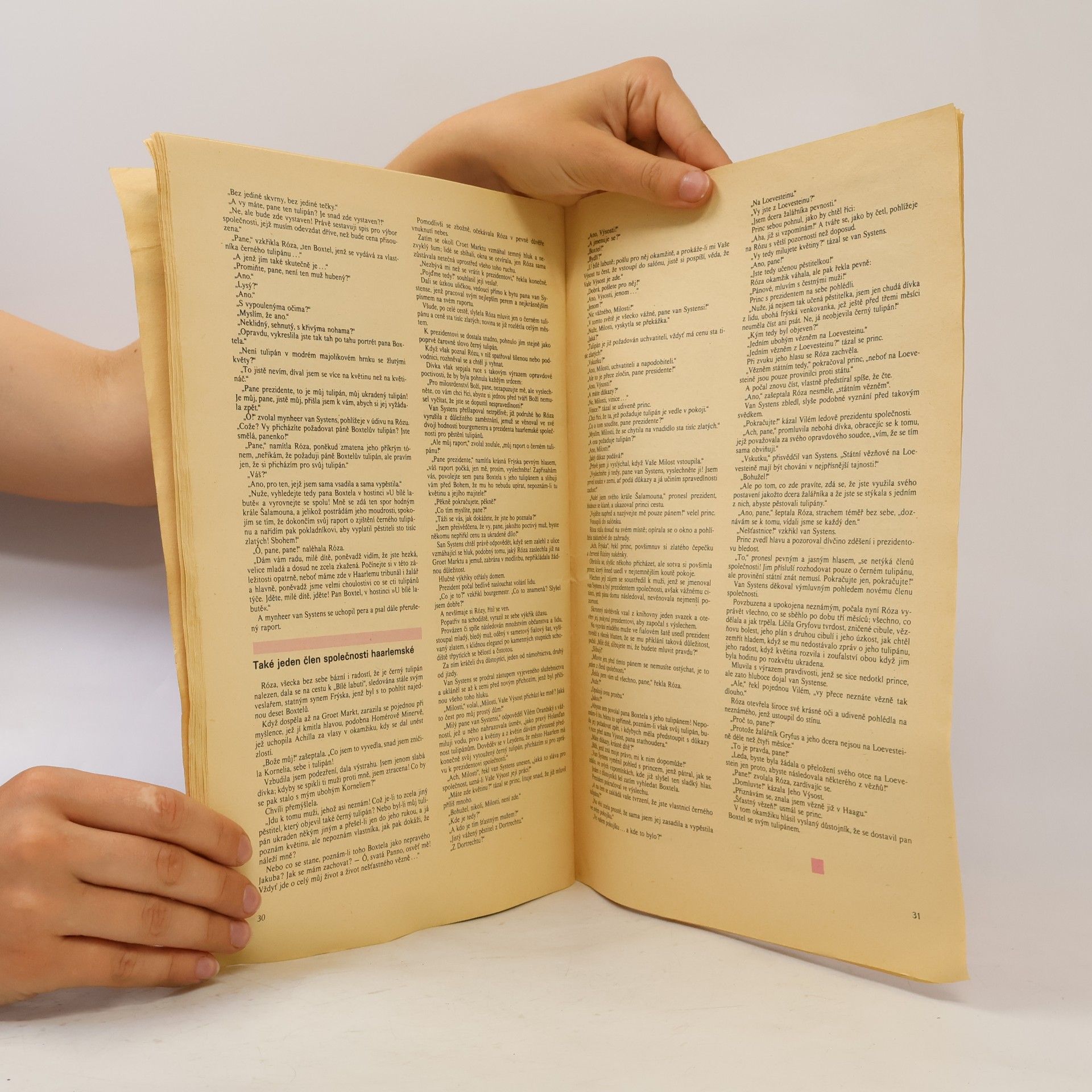 Alexandre Dumas der Ältere Černý tulipán
