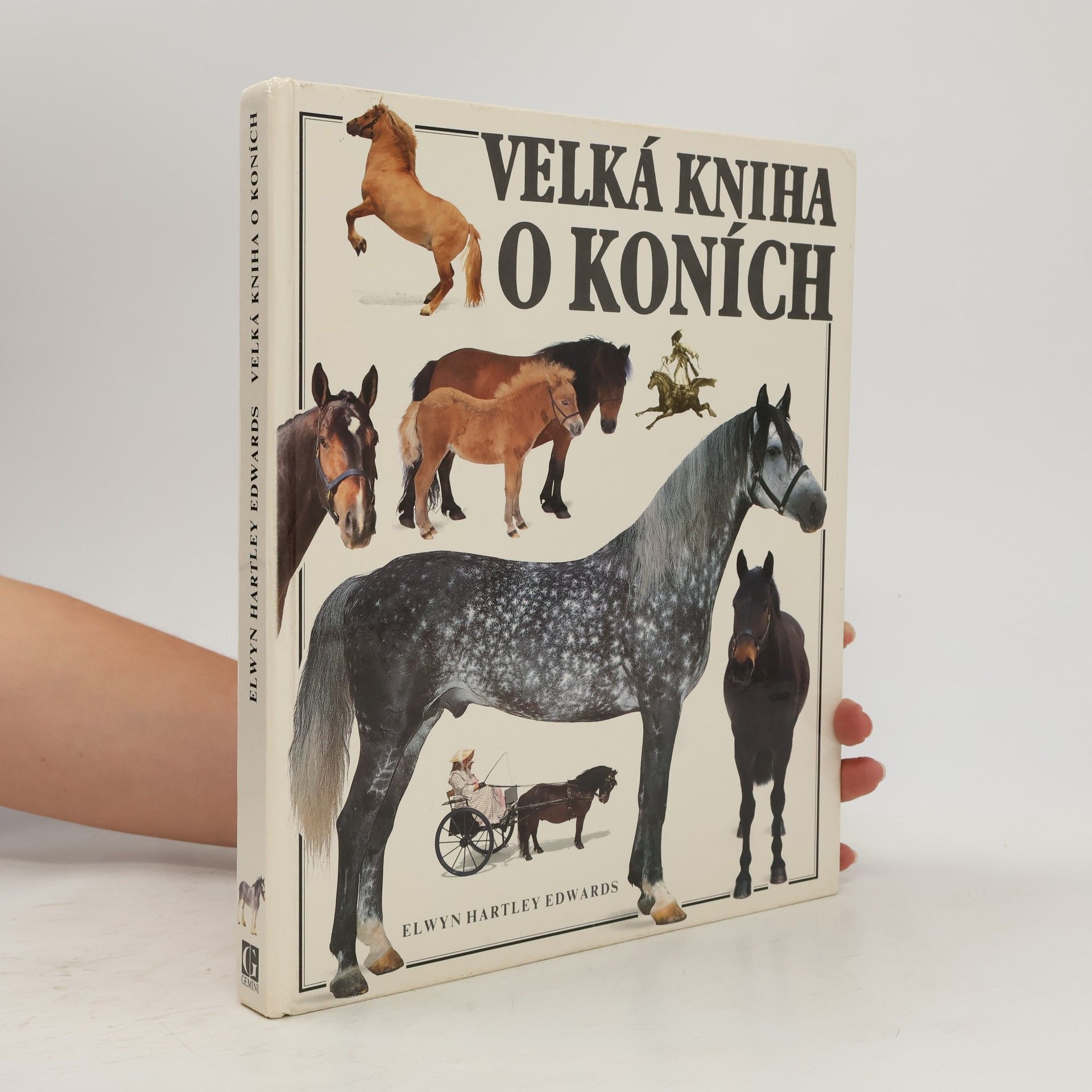 Elwyn Hartley Edwards Velká kniha o koních