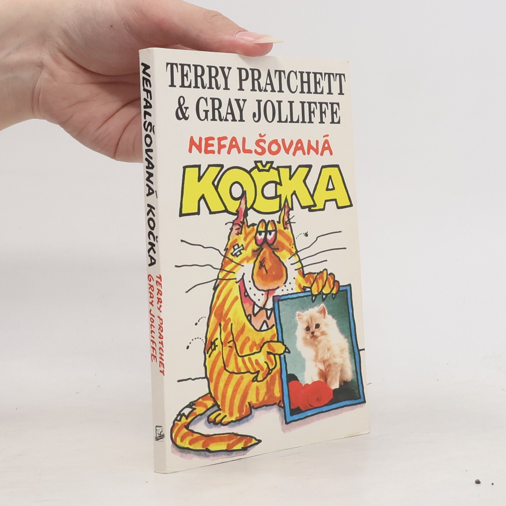 Terry Pratchett Nefalšovaná kočka