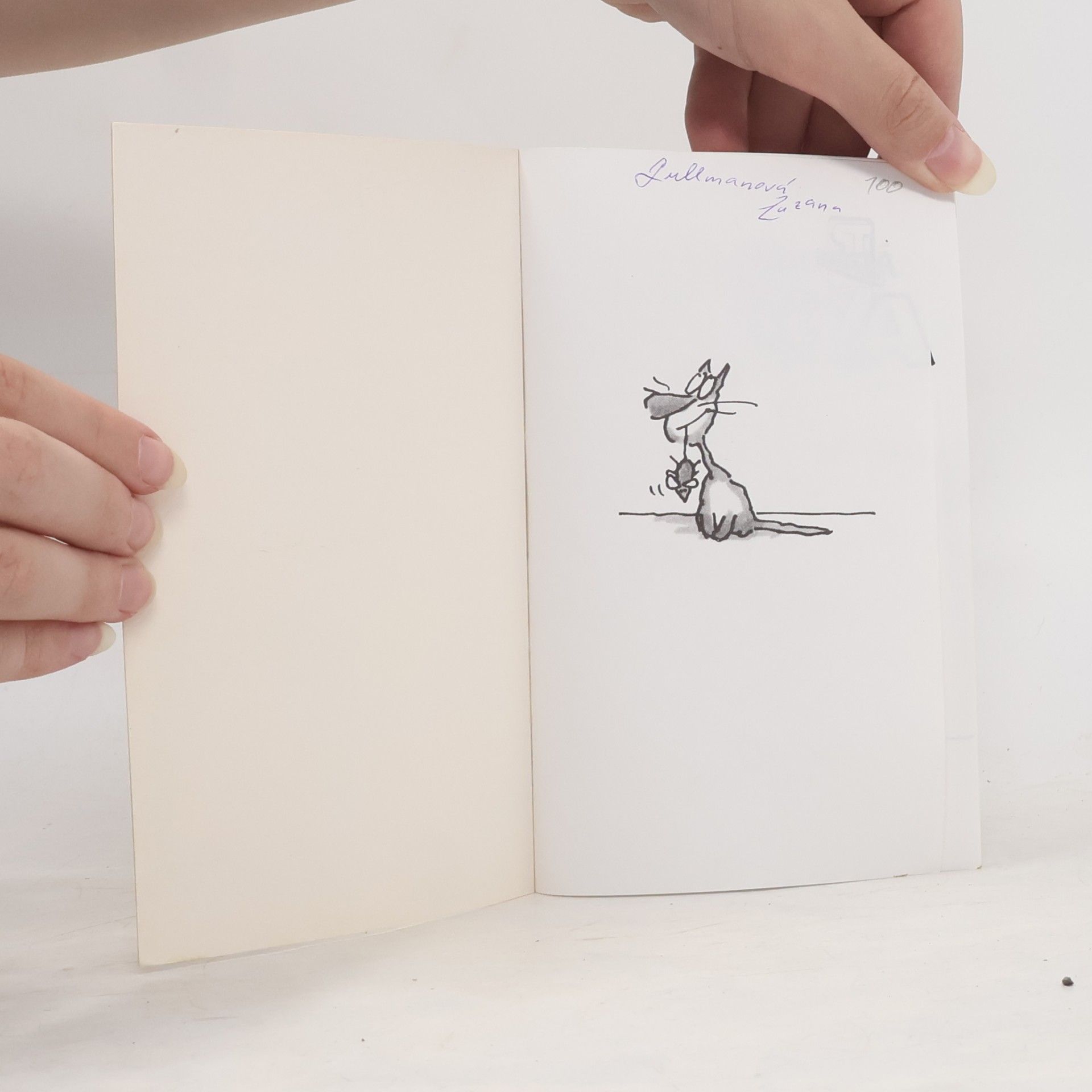 Terry Pratchett Nefalšovaná kočka