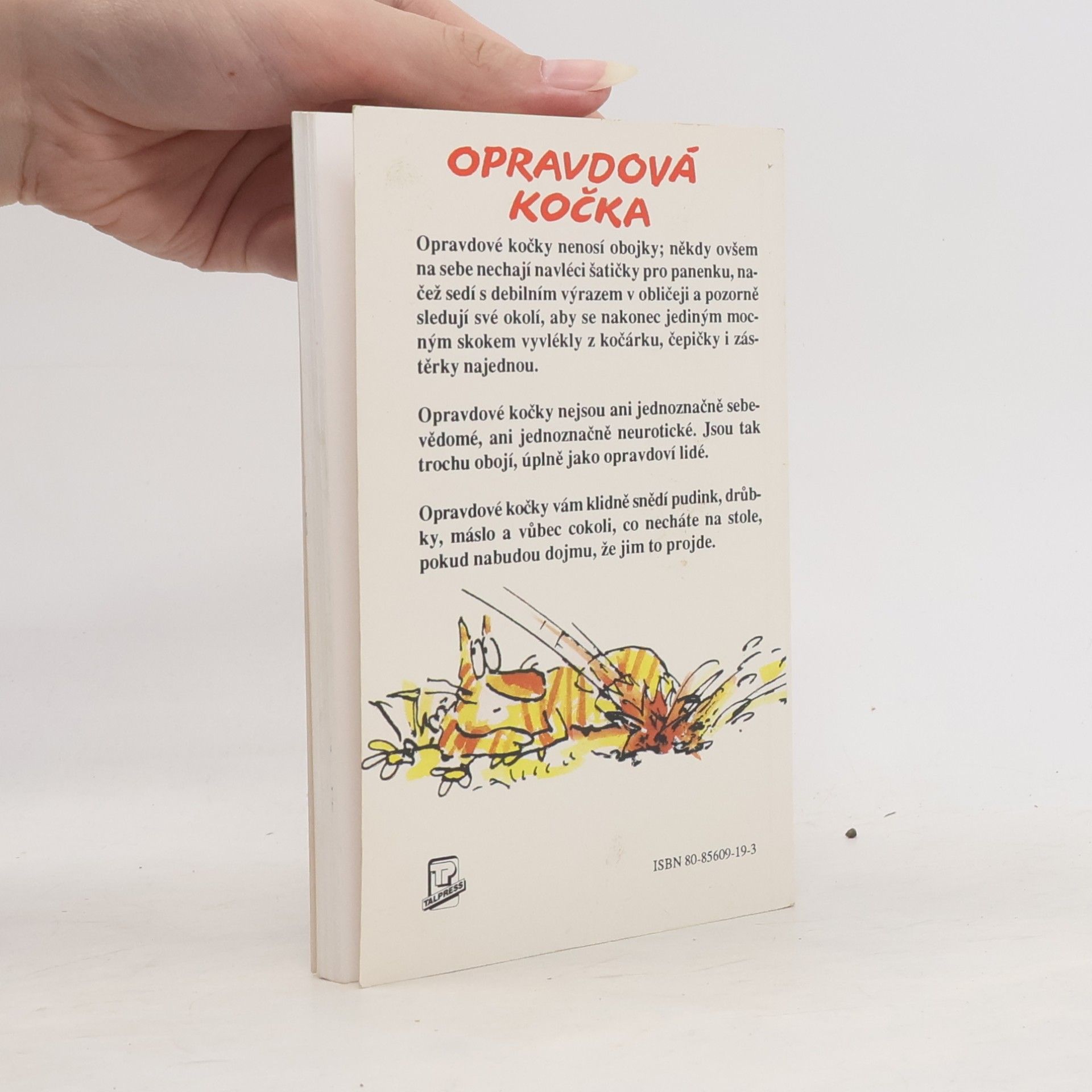 Terry Pratchett Nefalšovaná kočka