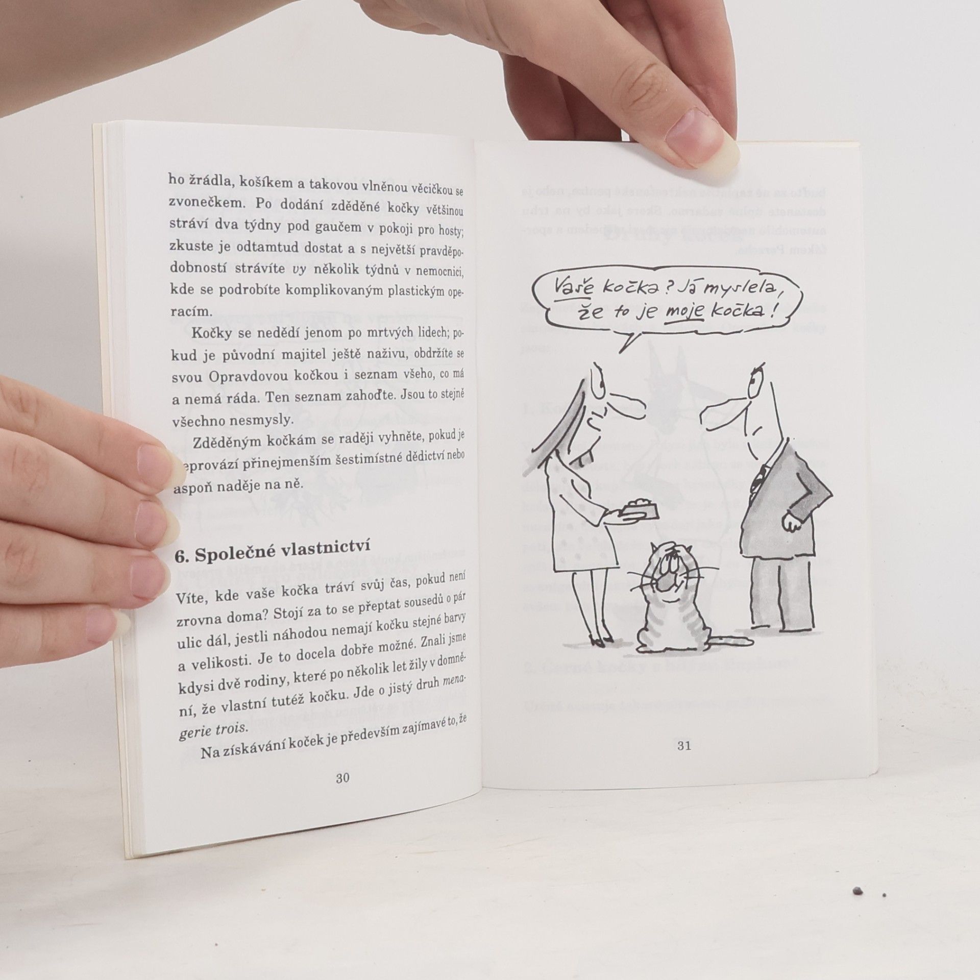 Terry Pratchett Nefalšovaná kočka